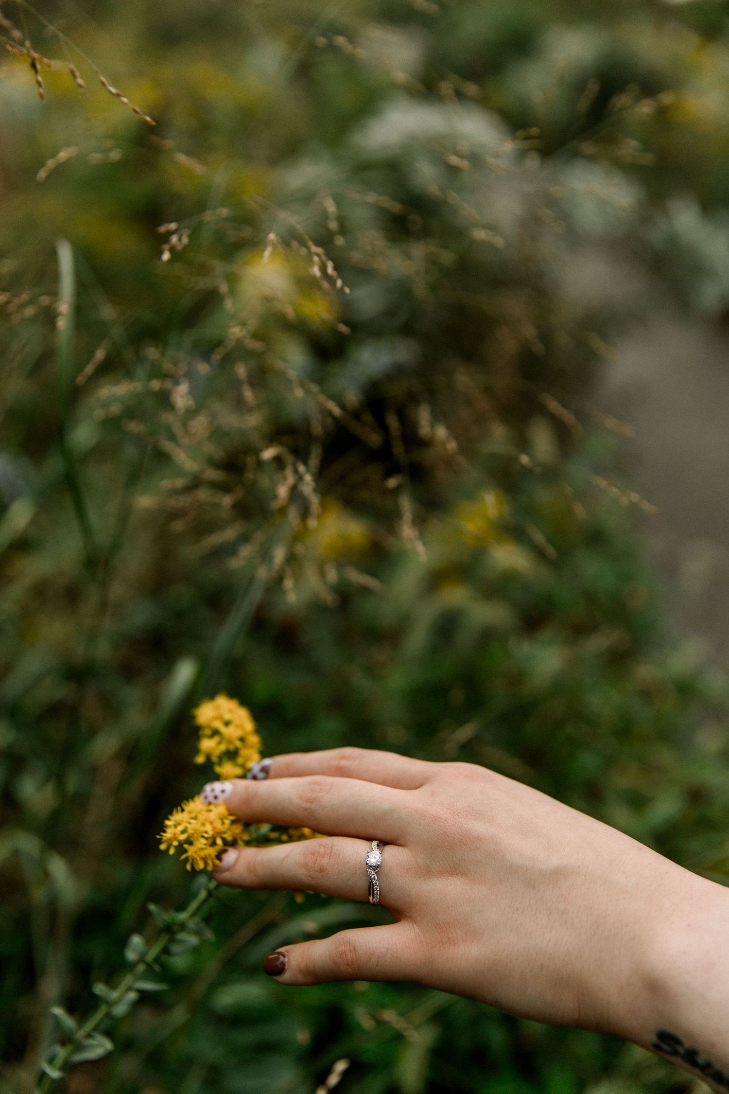 A hand with a silver ring gently touches yellow wildflowers in a lush green garden setting.