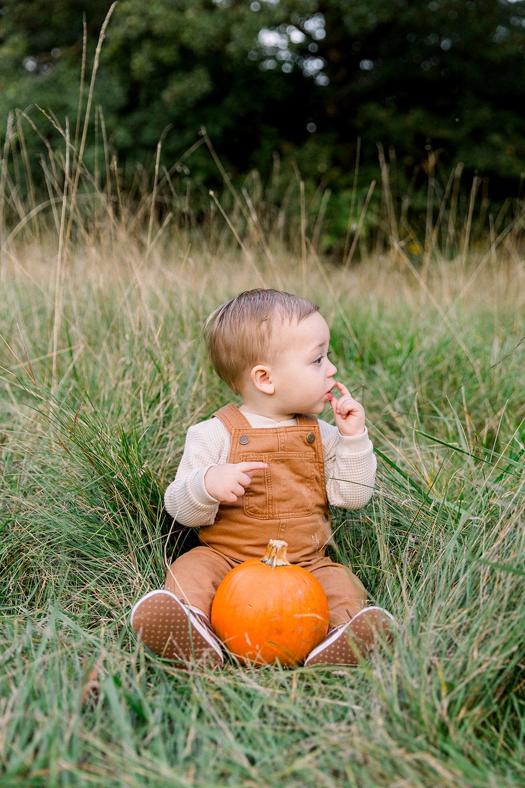 family photographers, fall outdoor mini session for a chicago suburban young family in schaumburg