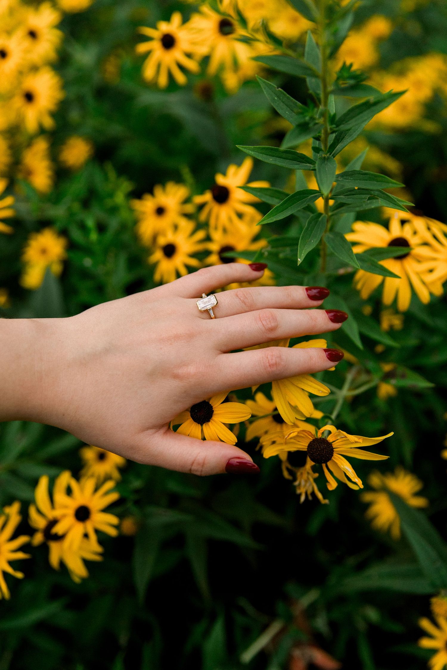 Woman's hand with gold ring and red nails touching yellow black-eyed Susan flowers in a lush garden.