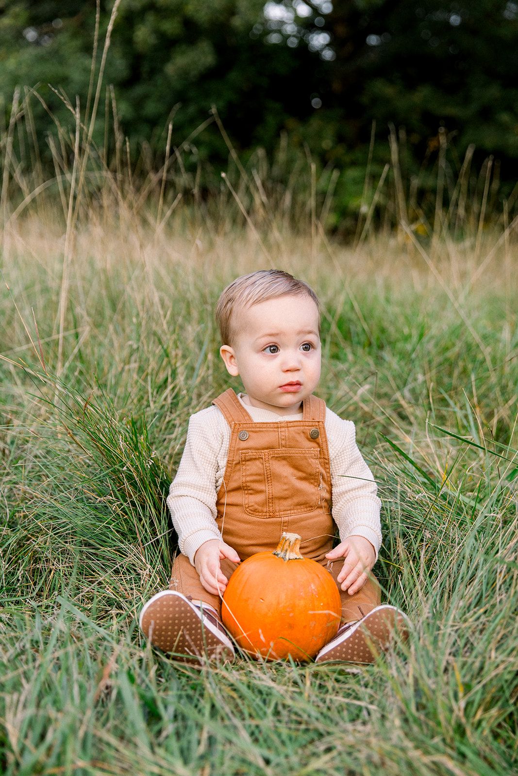 family photographers, fall outdoor mini session for a chicago suburban young family in schaumburg