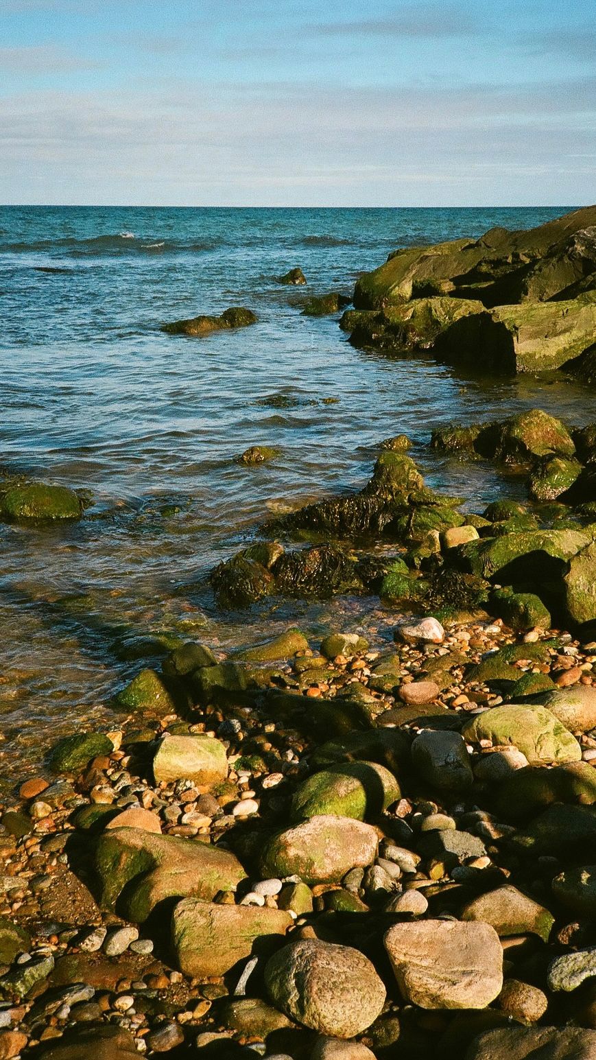 Rocky shoreline with waves crashing against moss-covered stones at Montauk Point in New York.