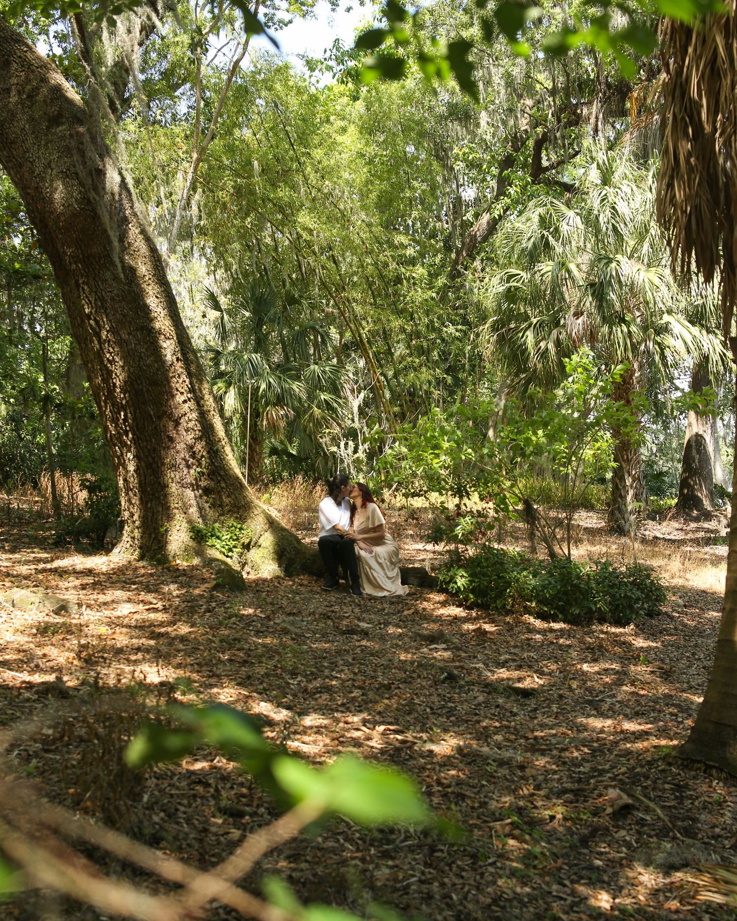 Distant view of a couple resting under shaded trees in Harry P. Leu Gardens in Florida.