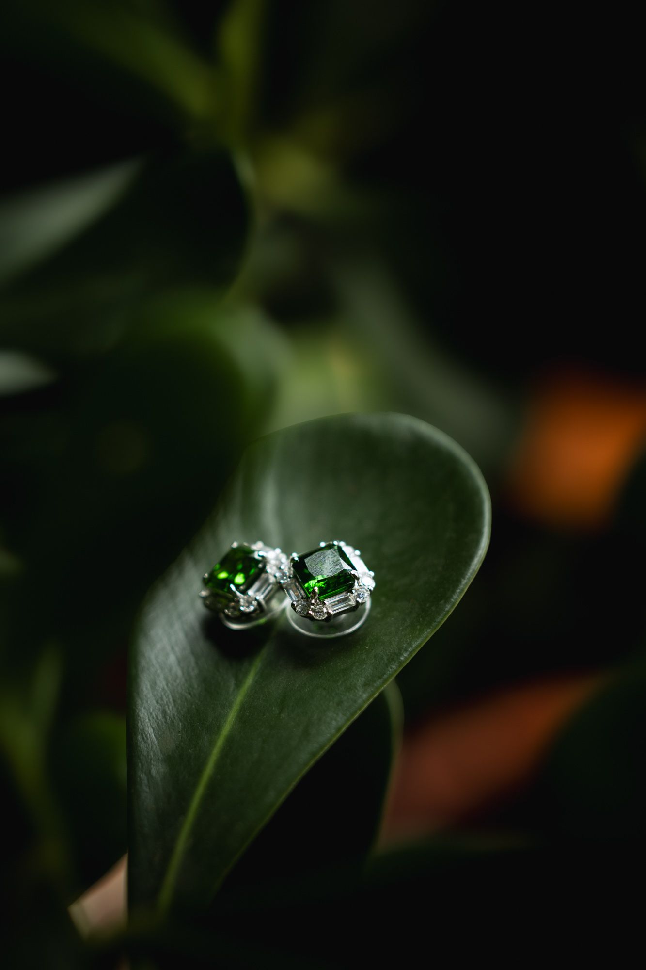 Detail shot of wedding rings