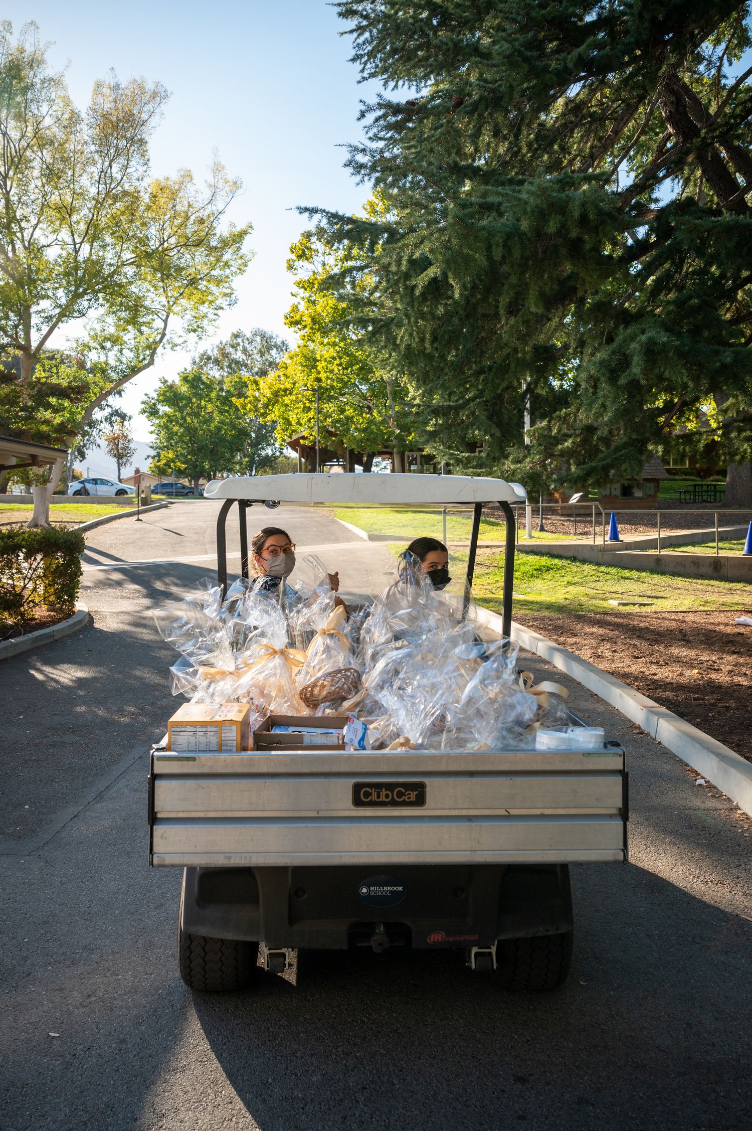 Golf cart loaded with packaged supplies on a path under trees.