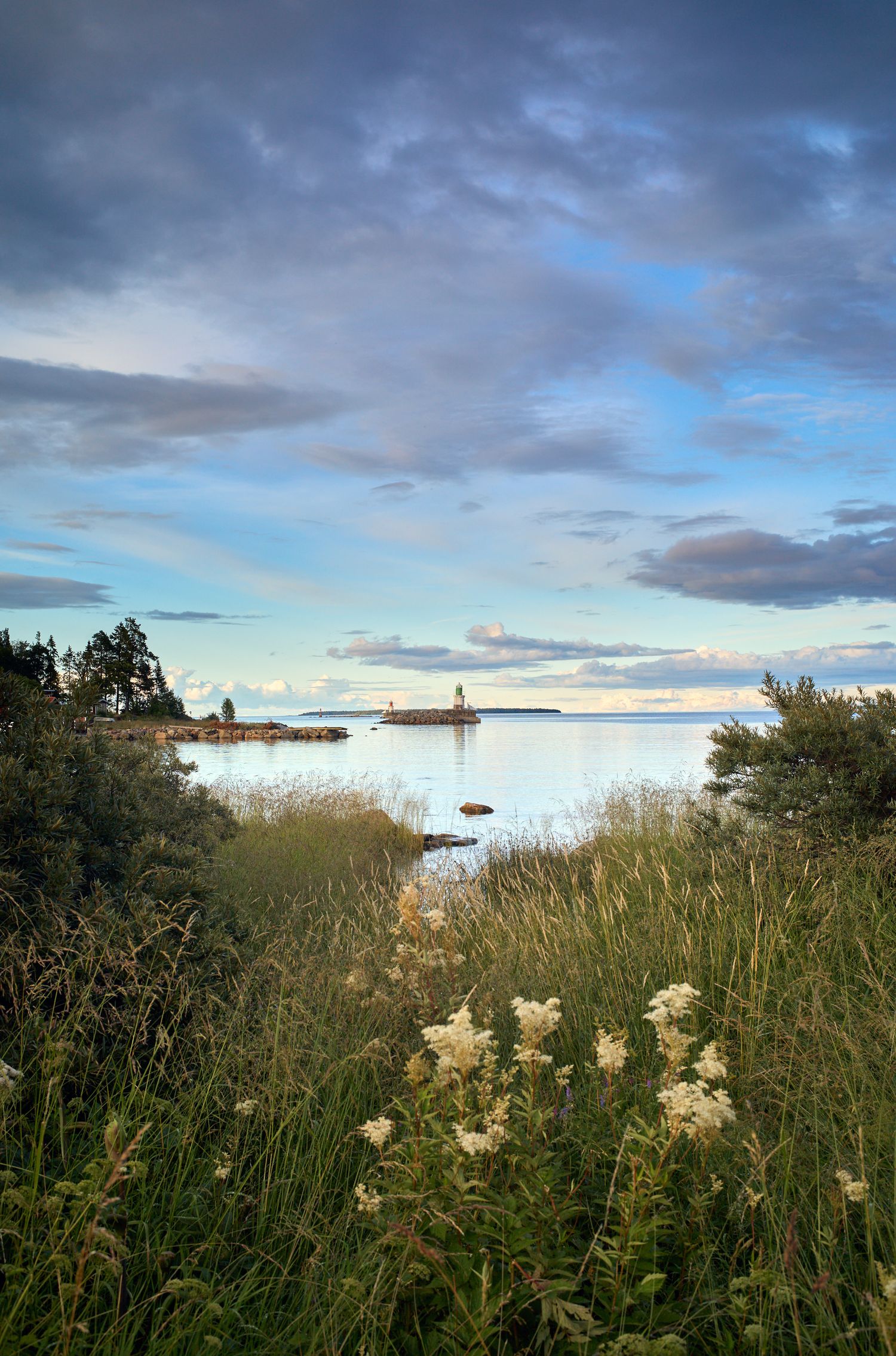 Scenic coastal landscape with lighthouse silhouette and wildflowers amidst tall grass under dramatic cloudy sky.