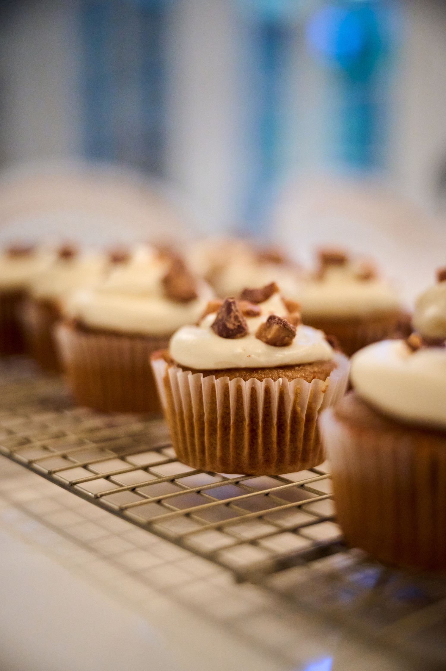 Vanilla cupcakes topped with creamy frosting and chocolate chips cooling on a wire rack.
