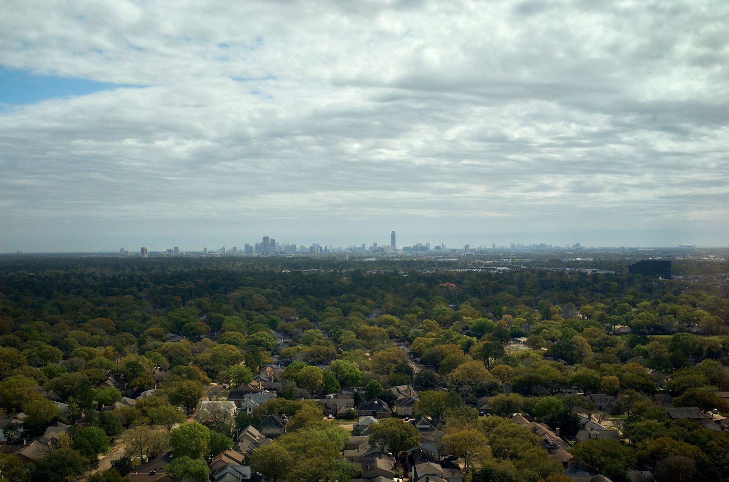Aerial view of urban skyline surrounded by dense autumn forest under cloudy skies.