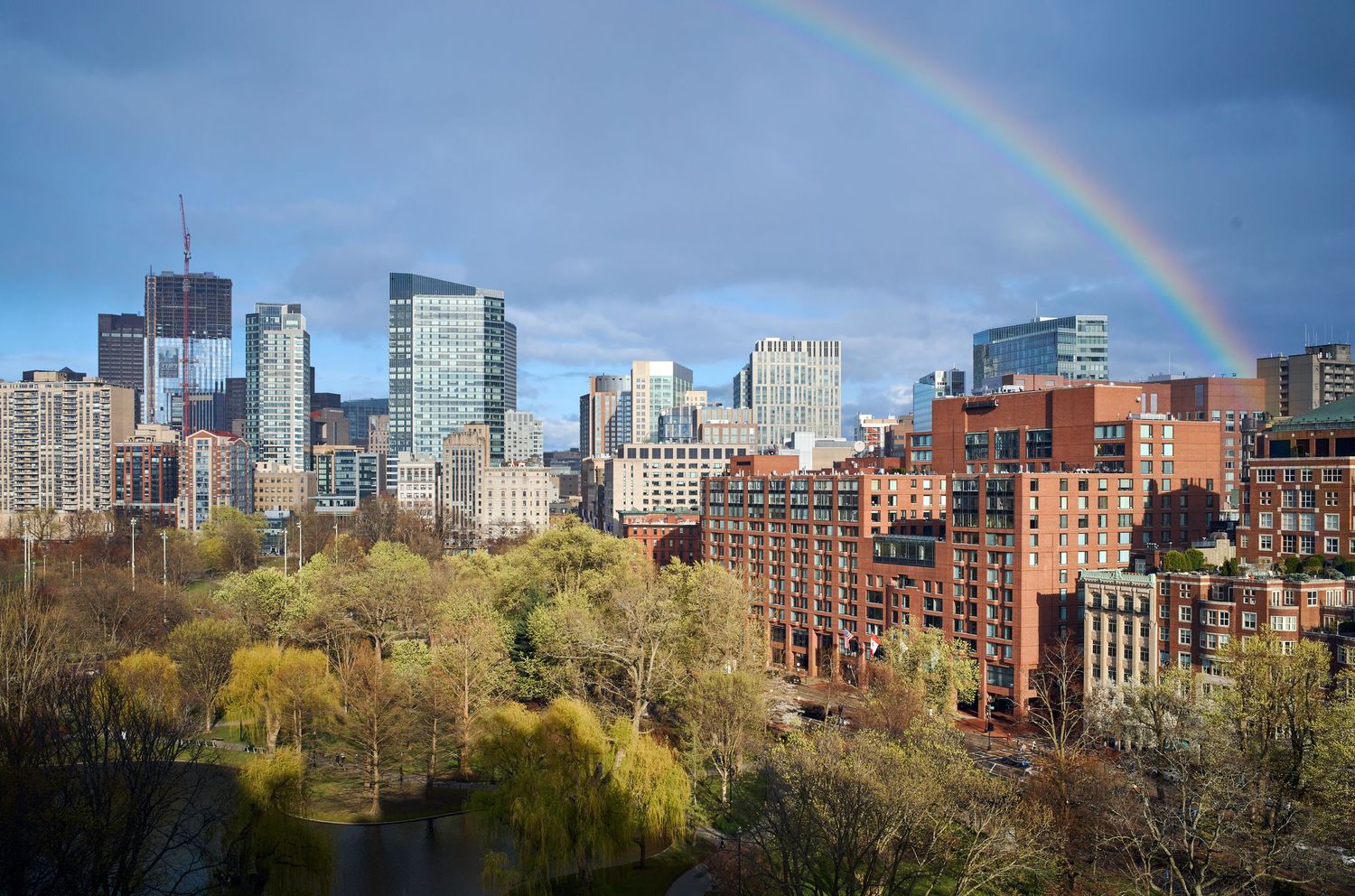 Vibrant rainbow arches over modern city skyline with autumn trees in the foreground.