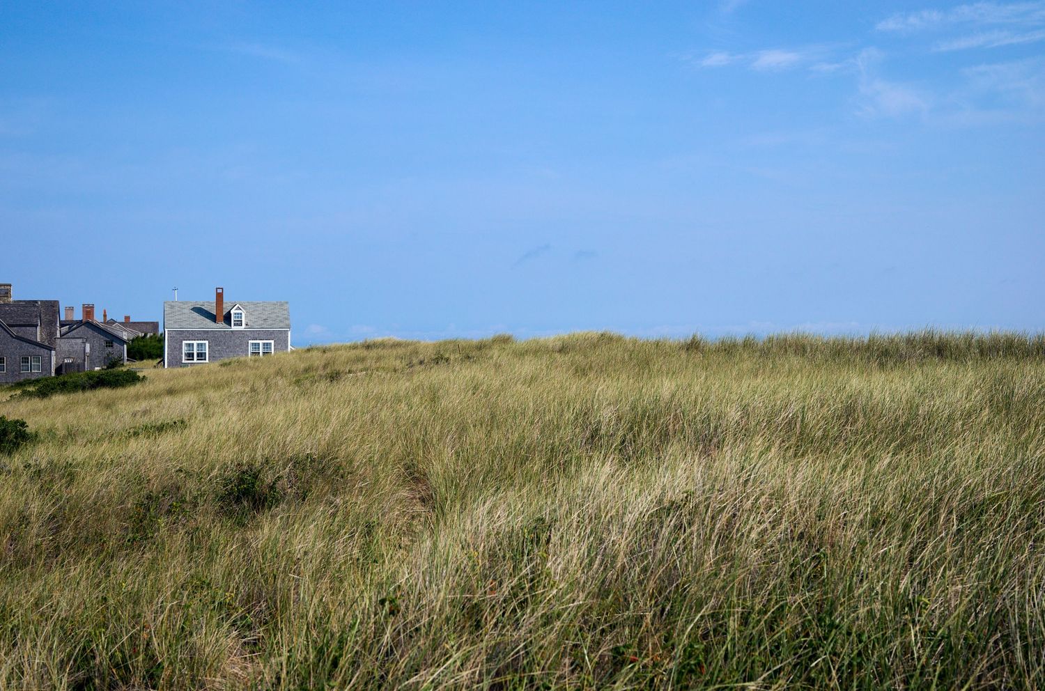 Rustic lighthouse peeks over golden beach grass on coastal dunes against blue sky.