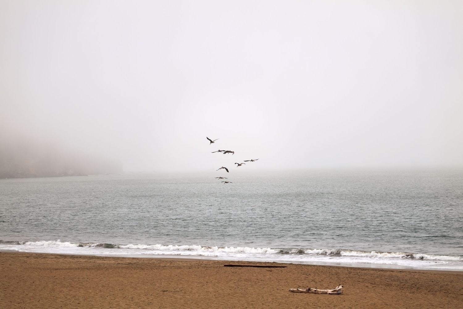 Seagulls flying over misty beach with waves crashing on sandy shore.