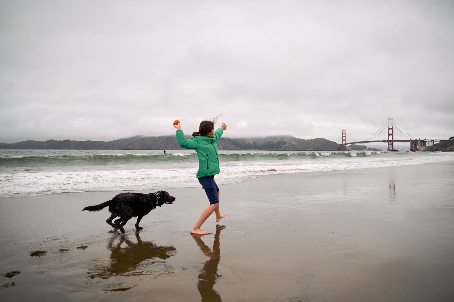 A person in a teal jacket jumps on the beach with their dog near the Golden Gate Bridge.