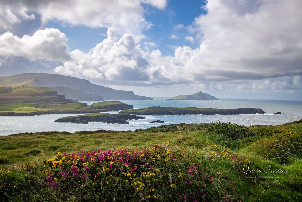 How to buy an authentic Irish gift? Landscape prints from Cork and ...