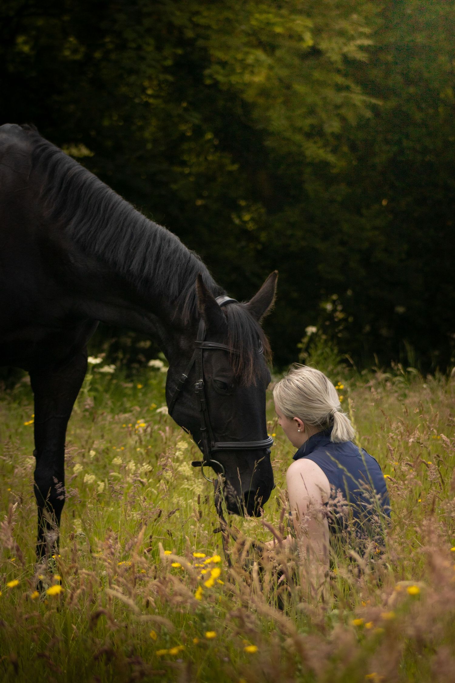 Horse and rider posing for a photoshoot for County Cork horse photography