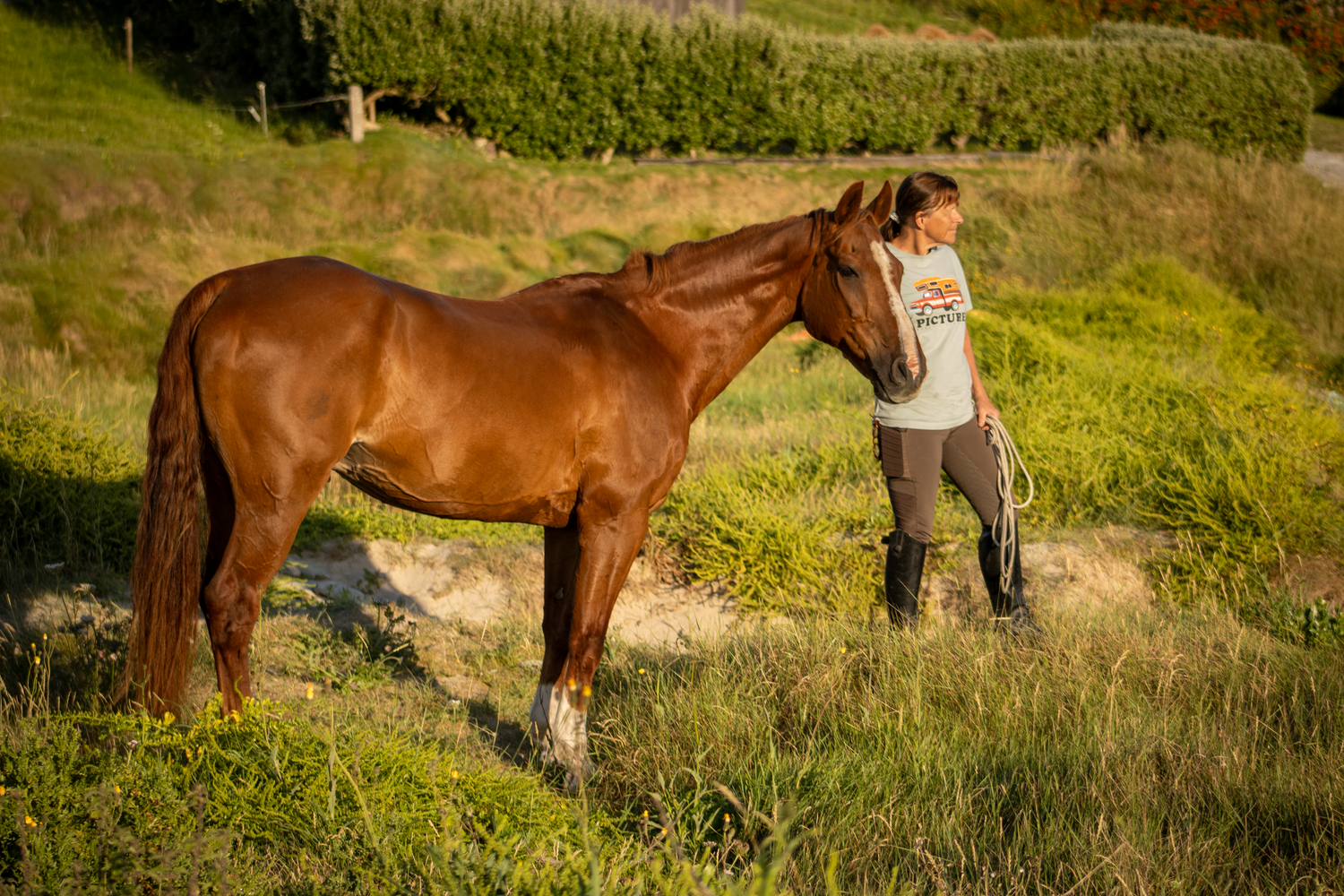 Dog & Horse photoshoots, Clonakilty