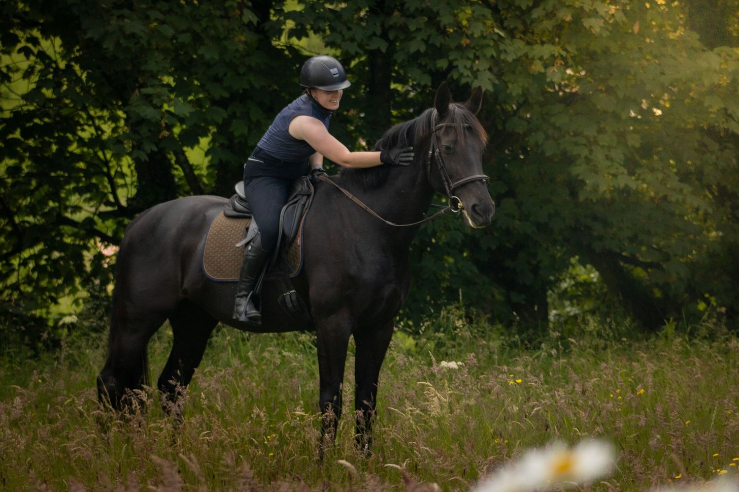 Horse and rider posing for a photoshoot for County Cork horse photography