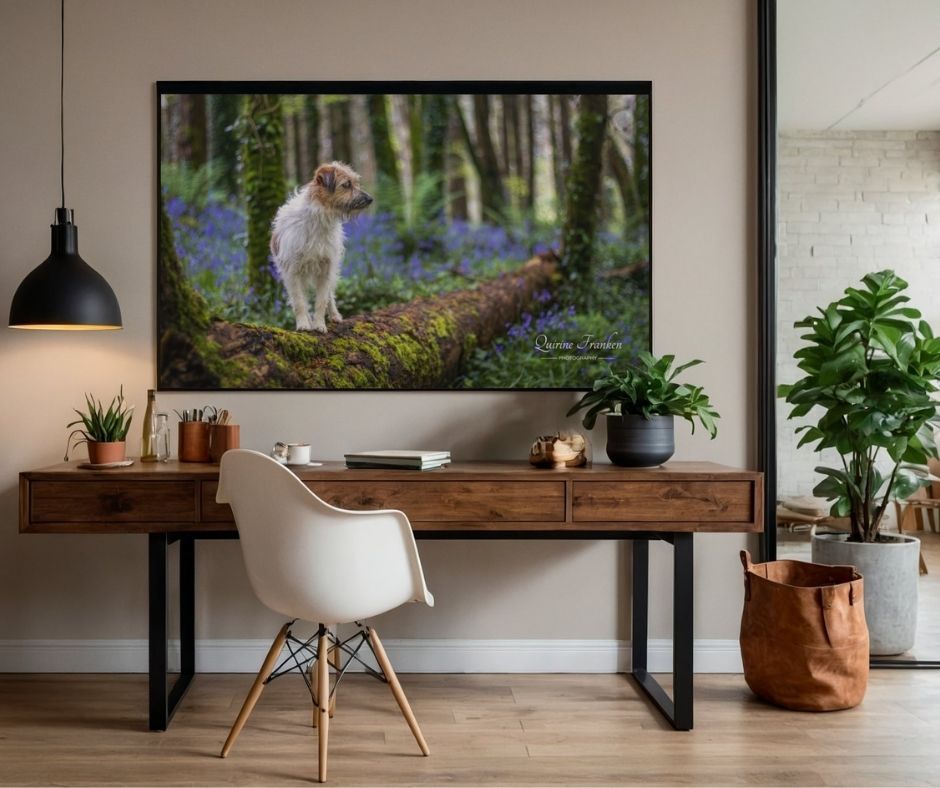 Fine-art dog photography portrait in bluebells