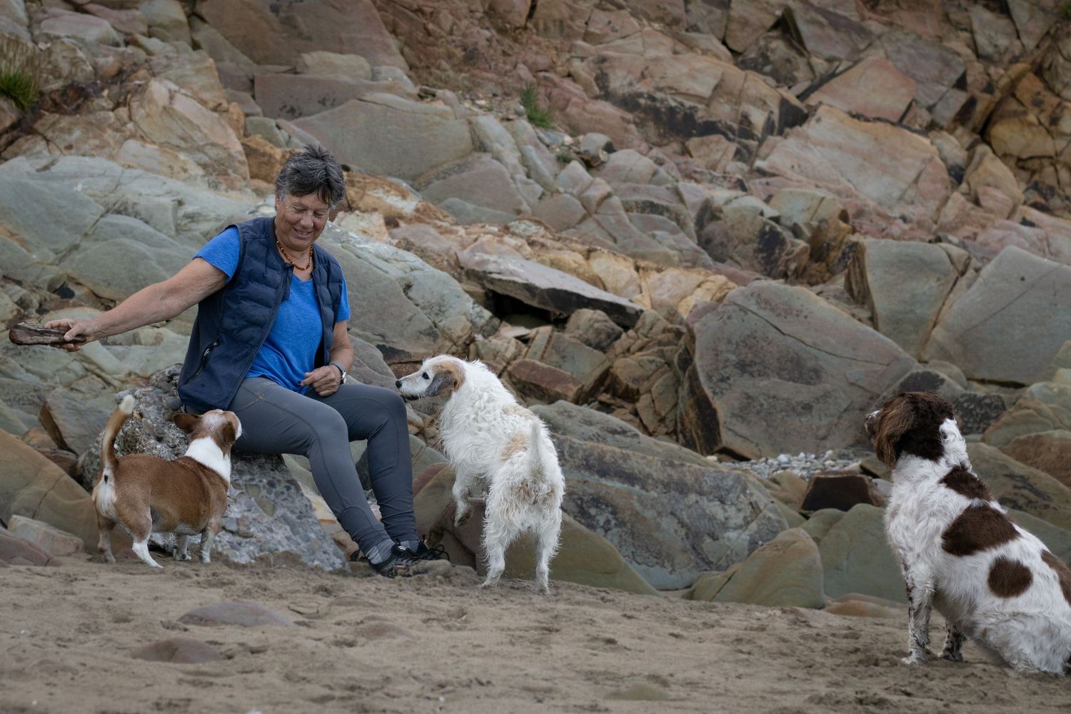 At a beach photoshoot with your dog in County Cork