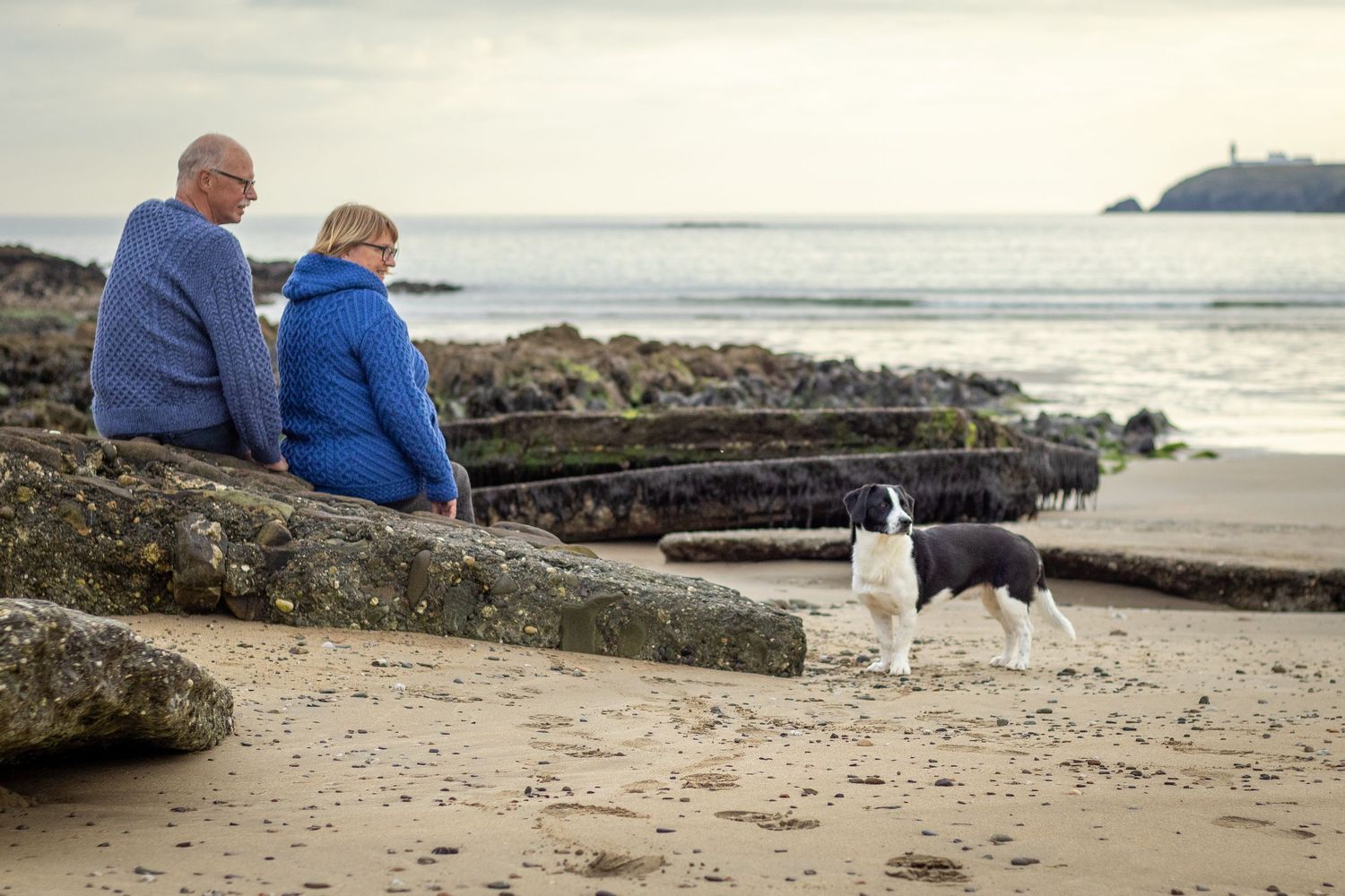 Couple and their dog at a holiday photoshoot