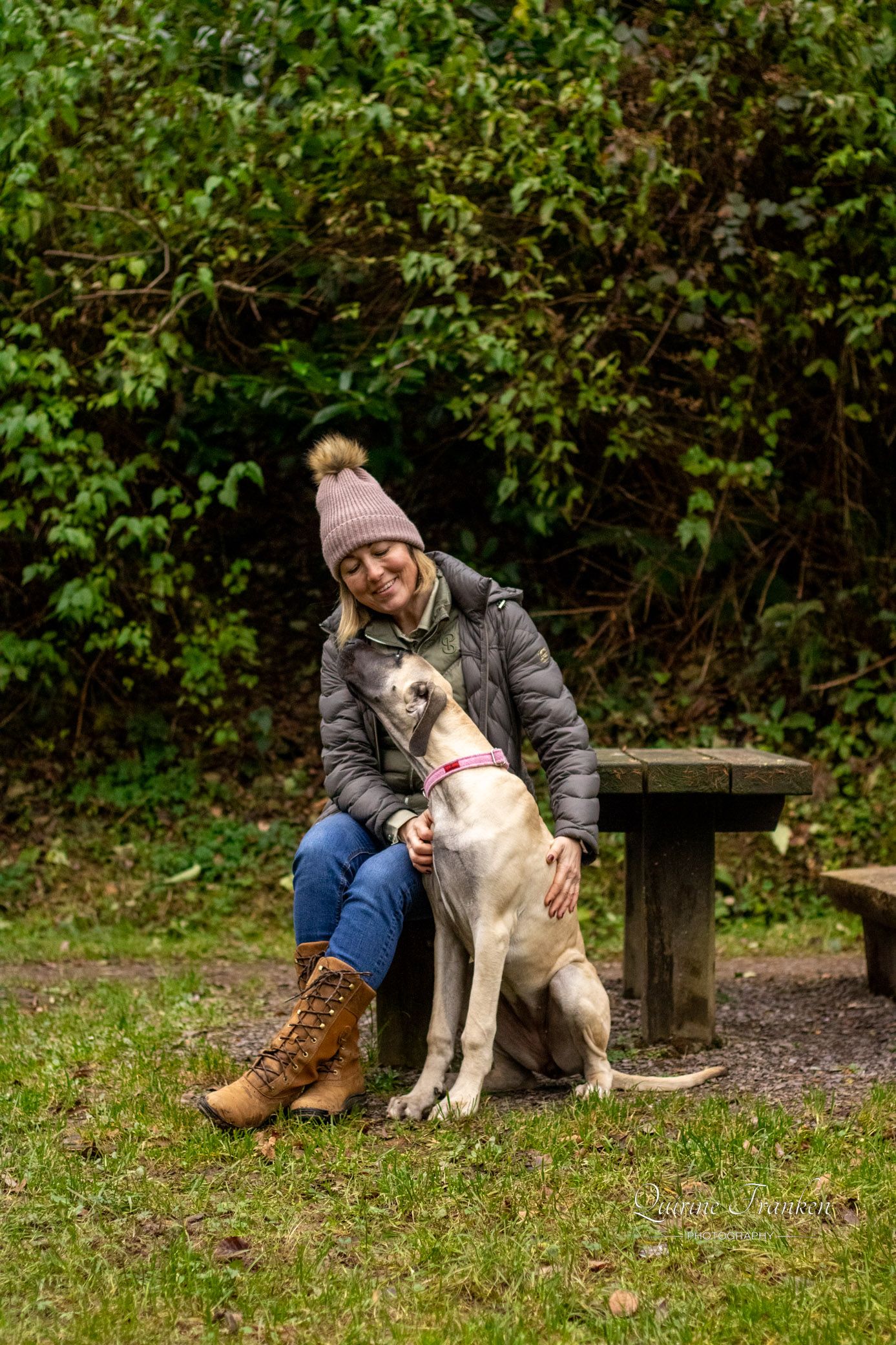 Great Dane puppy photography in sitting pose with owner