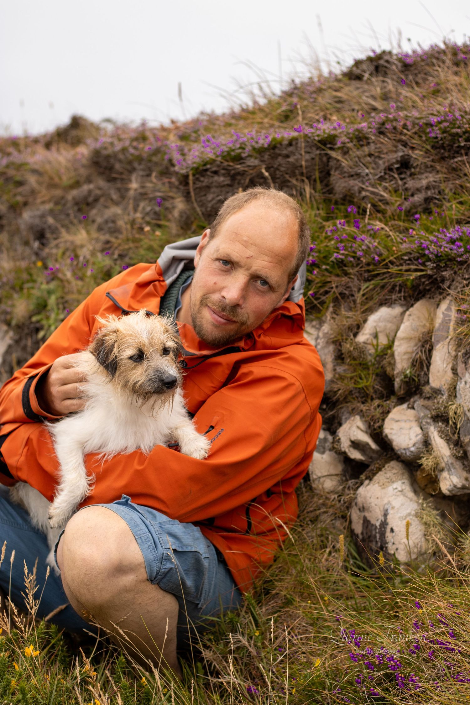 Jack Russell and owner in the heather captured by a Pet photographer in County Cork