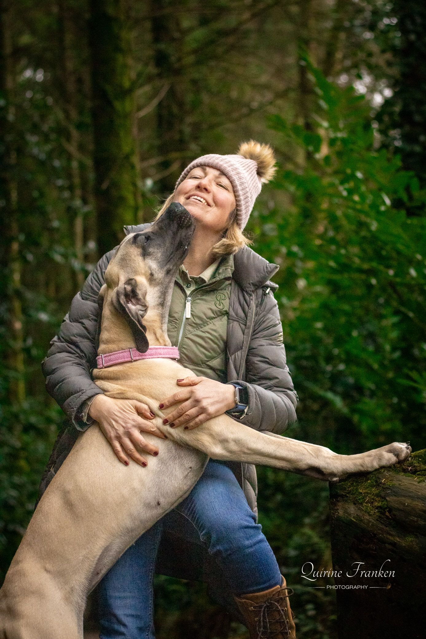 Great Dane puppy photography kissing owner