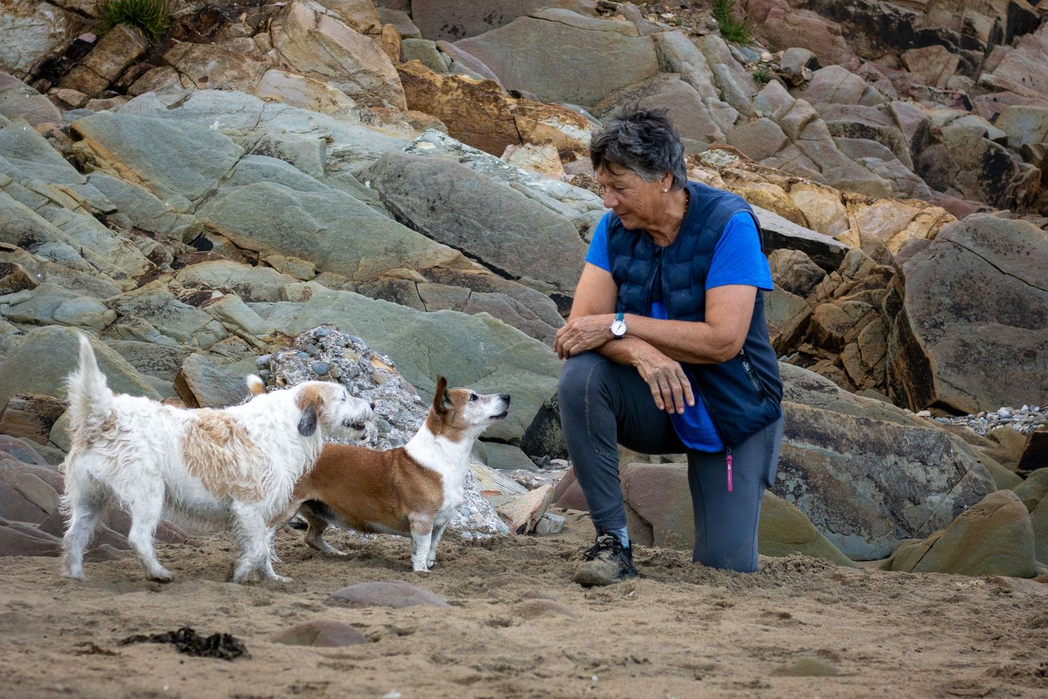 At a beach photoshoot with your dog in County Cork