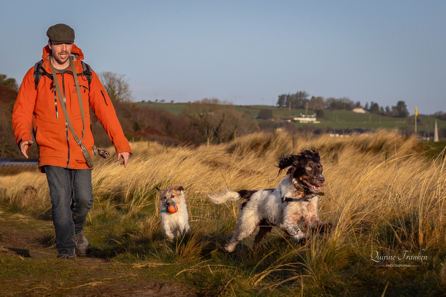 Man walking his two dog  posing for dog photography