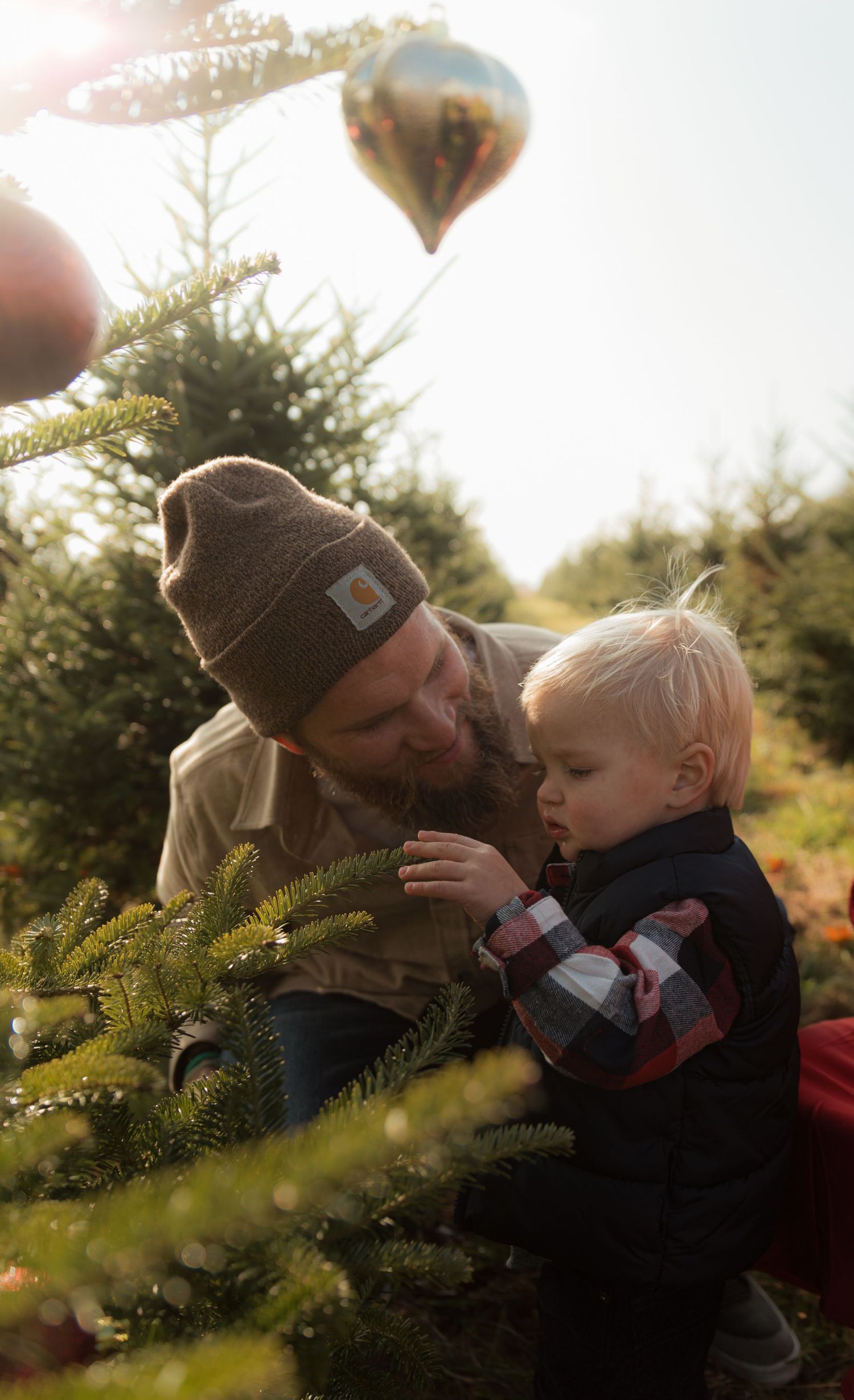 A heartwarming moment shared between parent and child among evergreen trees at sunset.