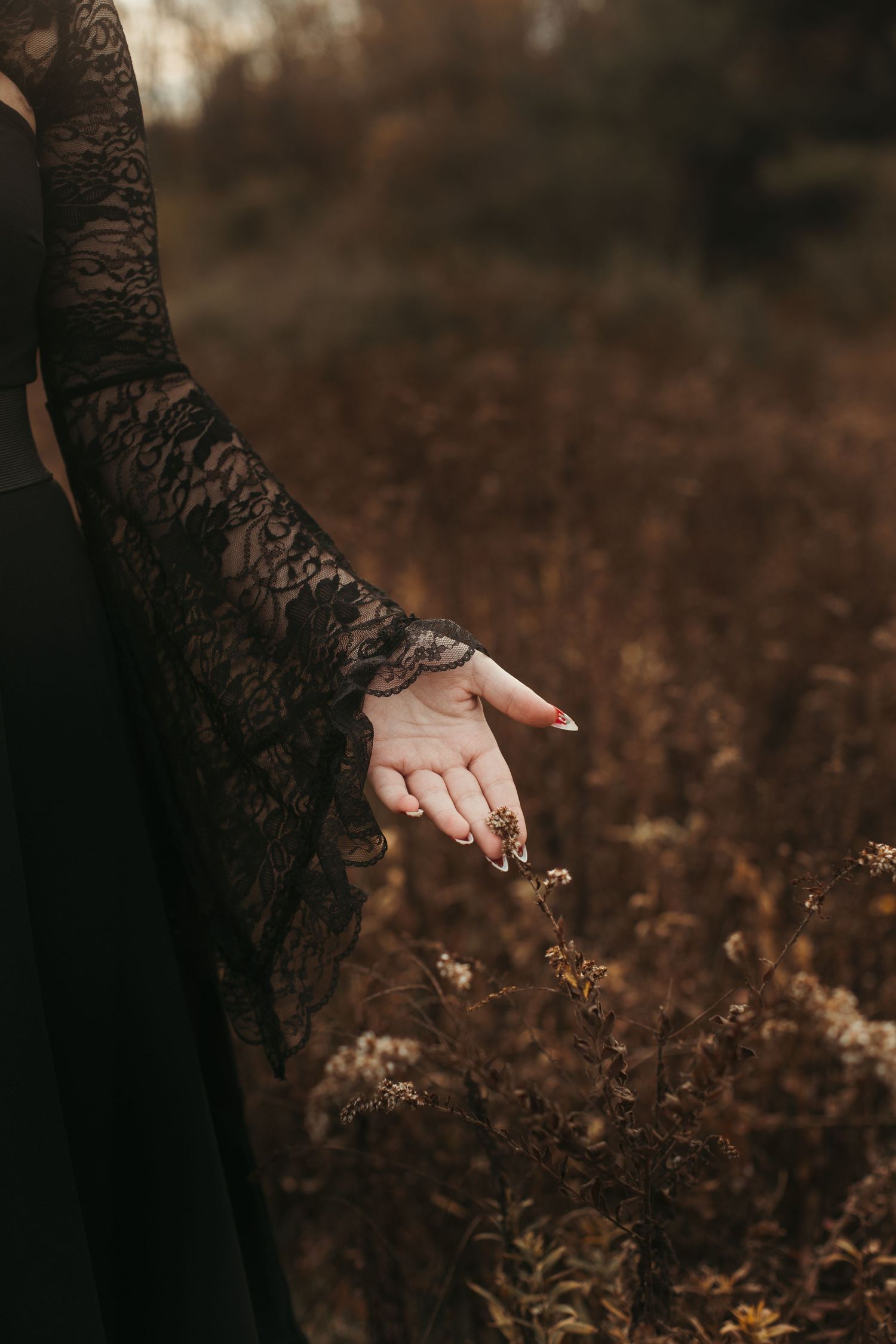 A hand in black lace sleeve reaching over dried autumn wildflowers in a moody outdoor setting.