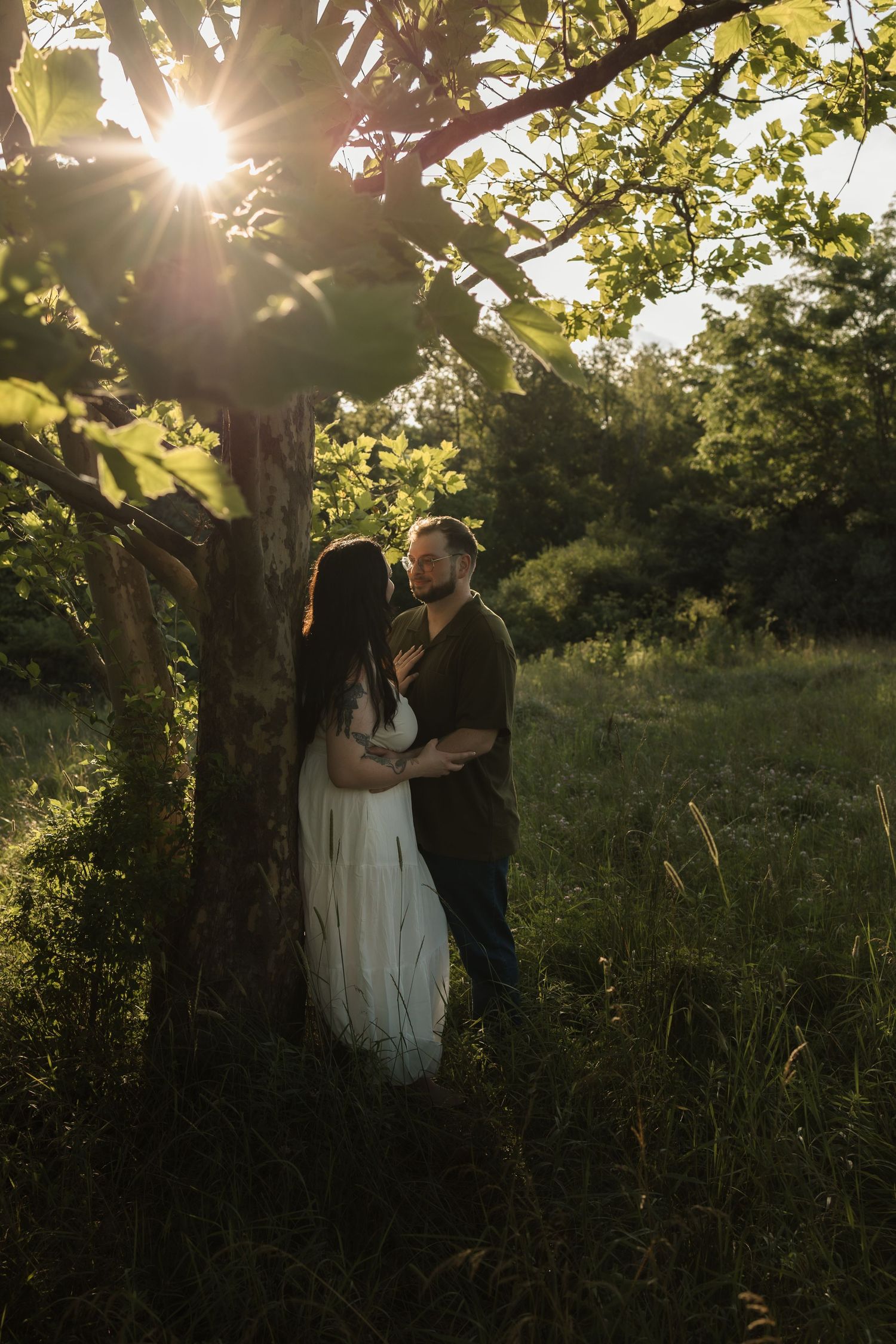Couple embracing under a sunlit tree in a lush green meadow during golden hour sunset.