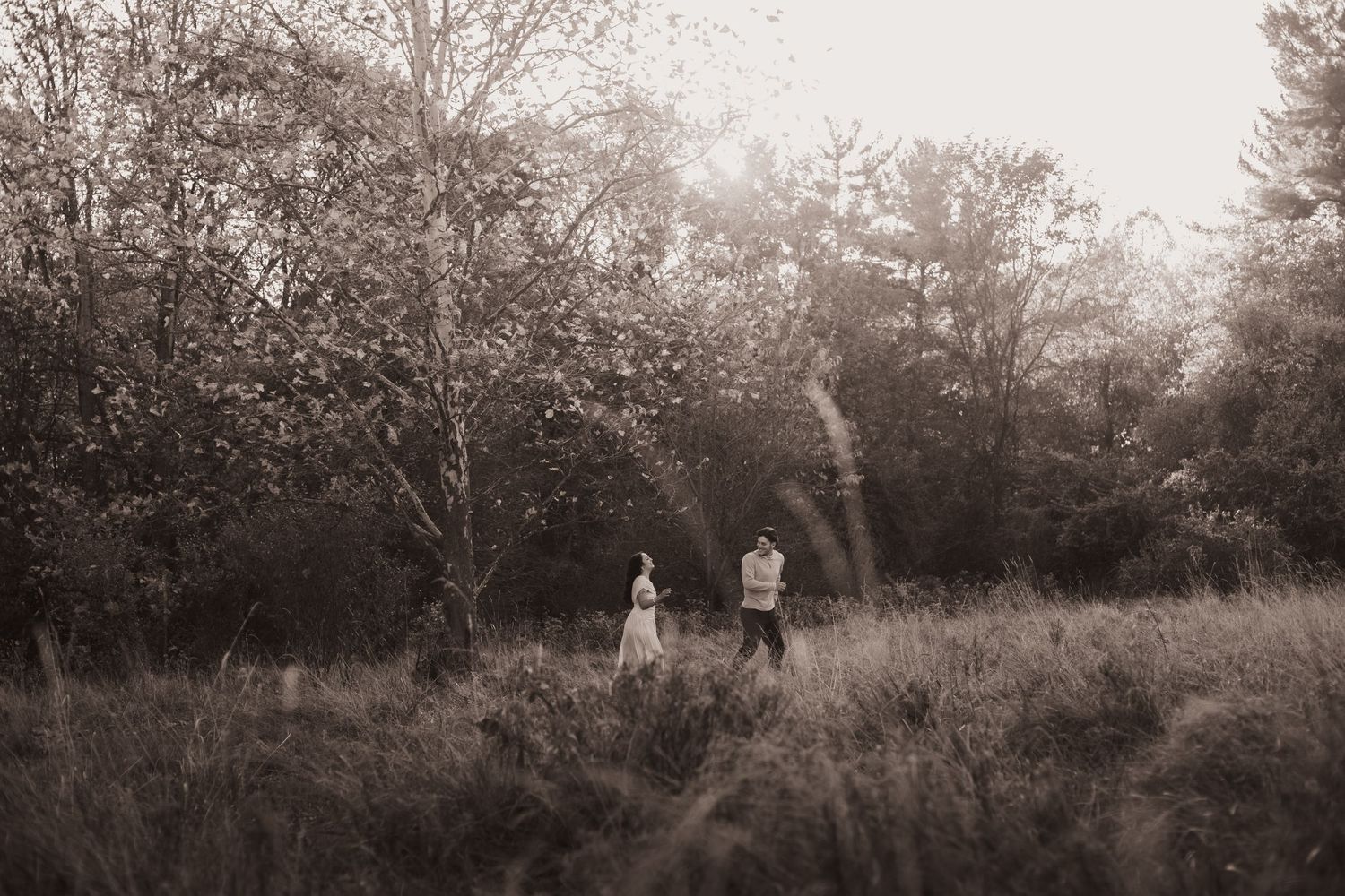 A sepia-toned panoramic sequence showing people walking through a wooded natural area in autumn.