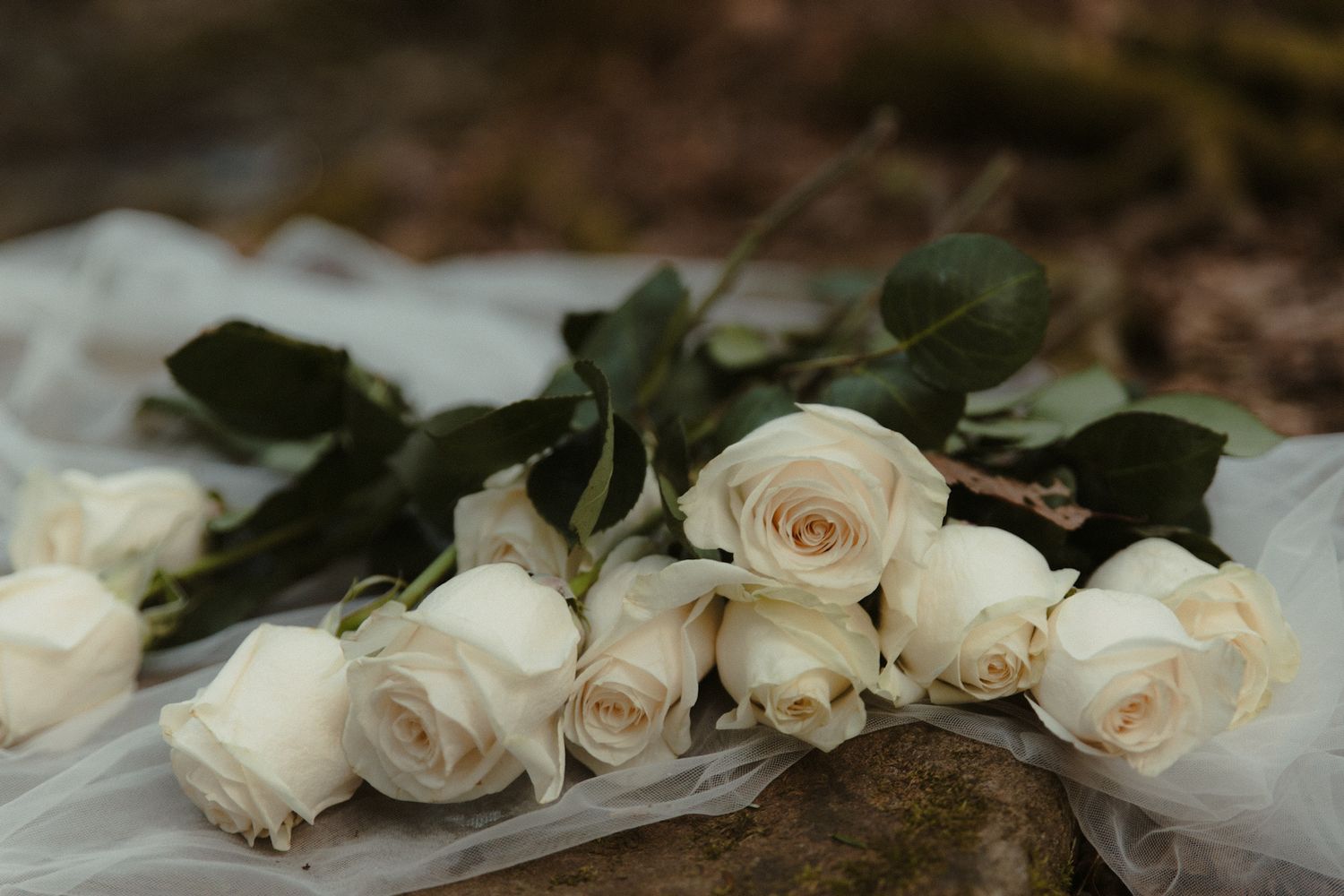 White roses bouquet resting on sheer fabric outdoors, perfect for weddings or memorial arrangements.