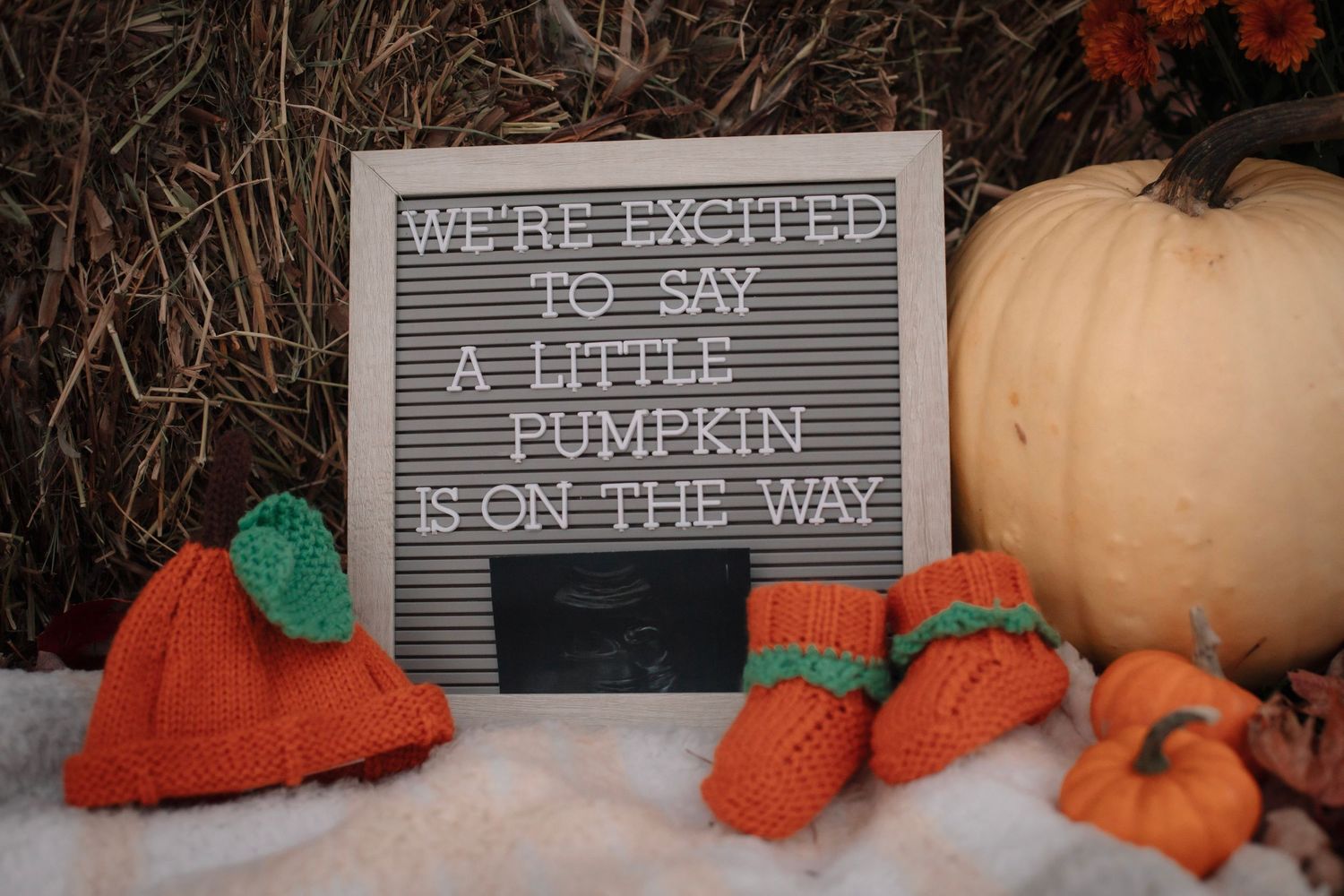 A festive fall display featuring orange pumpkins, rustic letter board signs, and cozy autumn decor on a white surface.