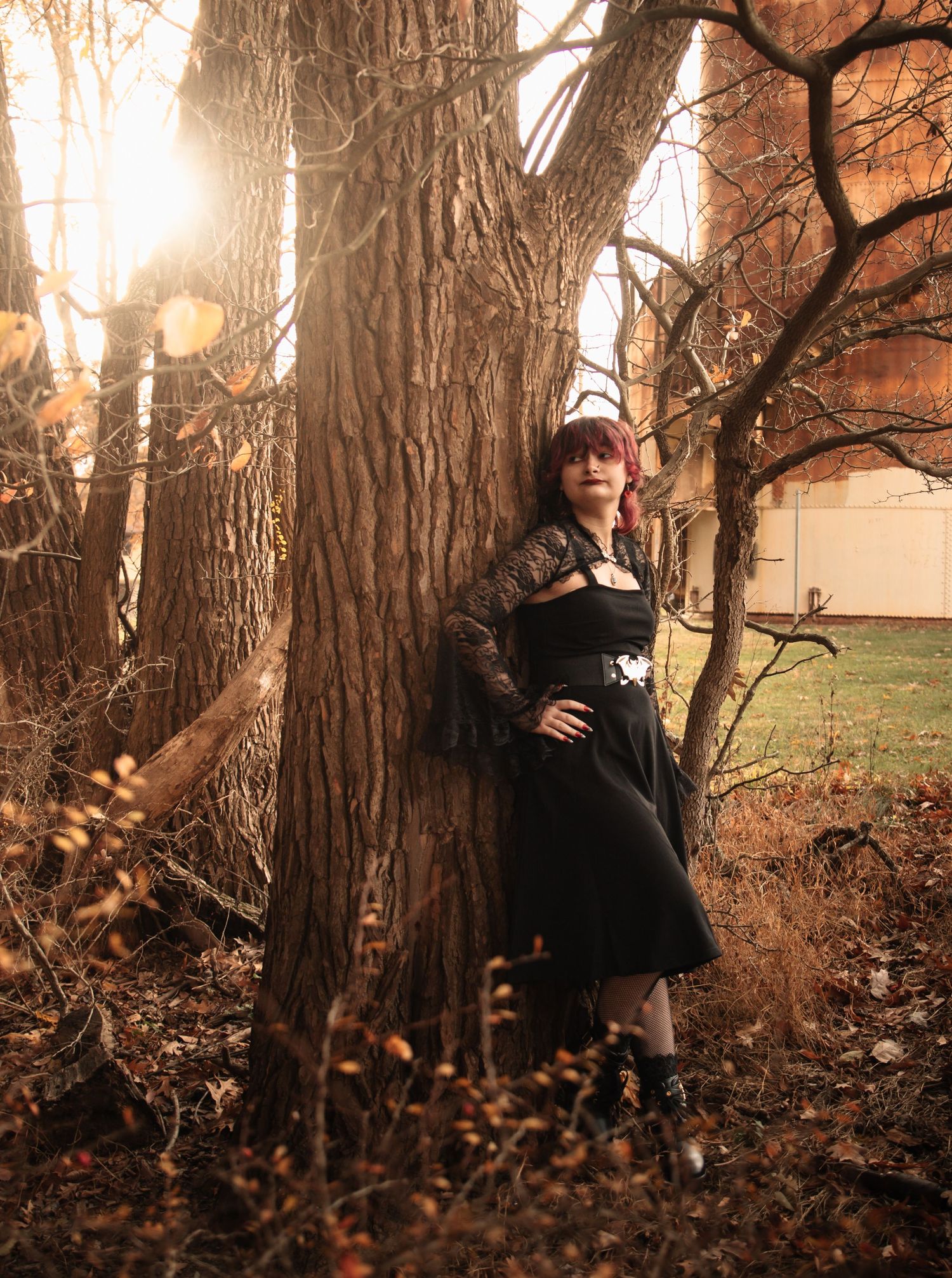 A person in black clothing stands among tall tree trunks in a moody autumn forest setting with golden sunlight.