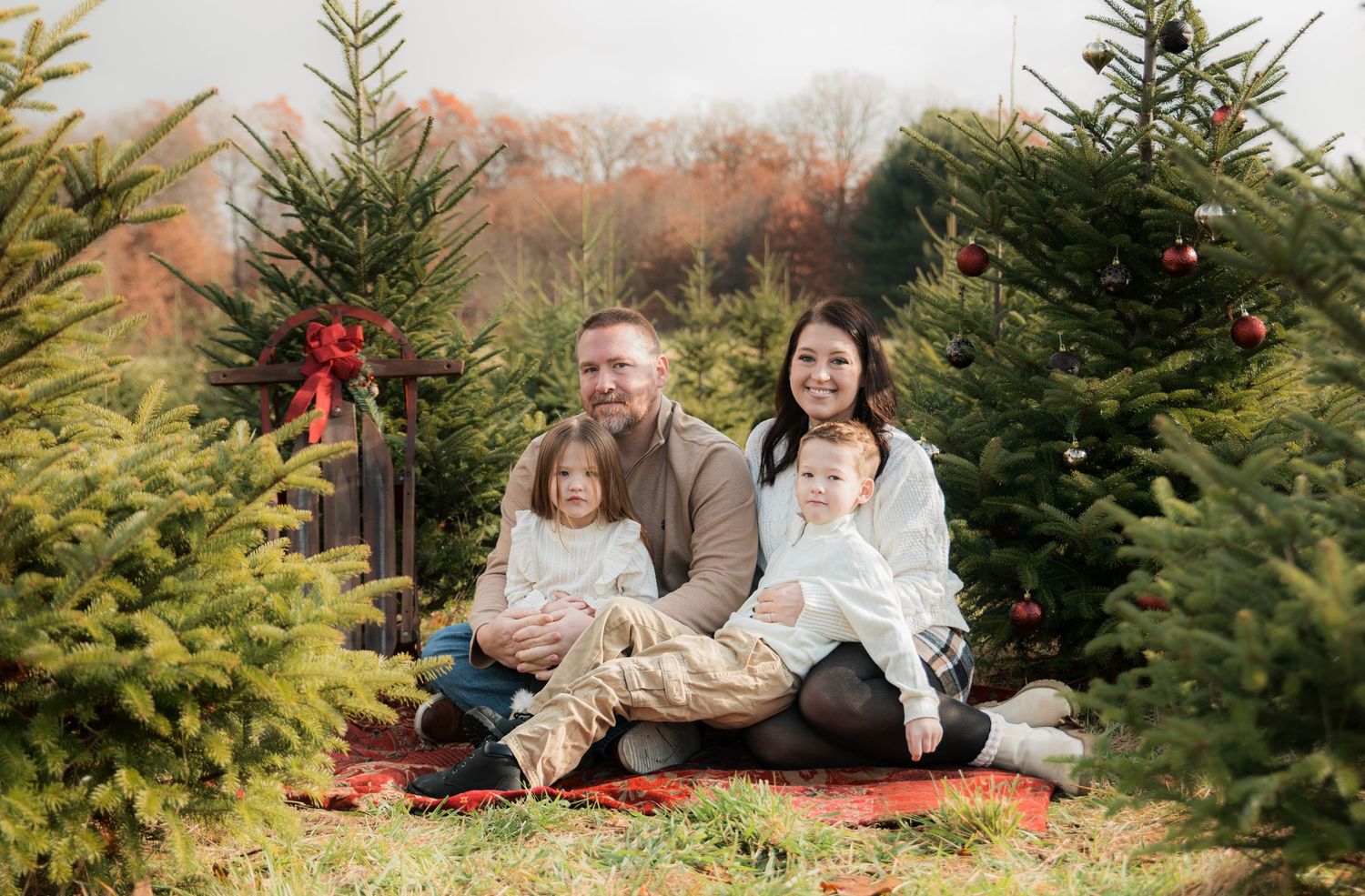 Family enjoying holiday photos among evergreen trees at a Christmas tree farm with red blanket and festive decorations.