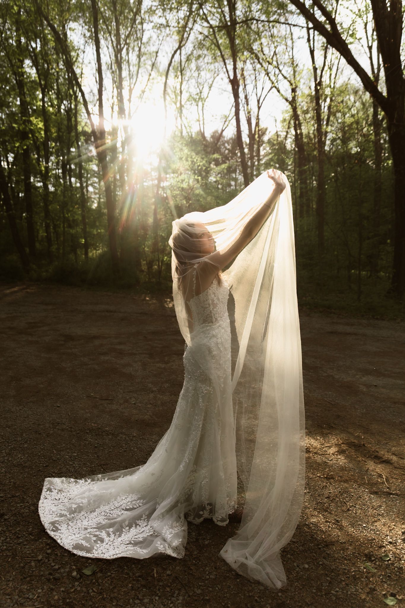 Bride in lace wedding gown holding veil in sunlit forest.