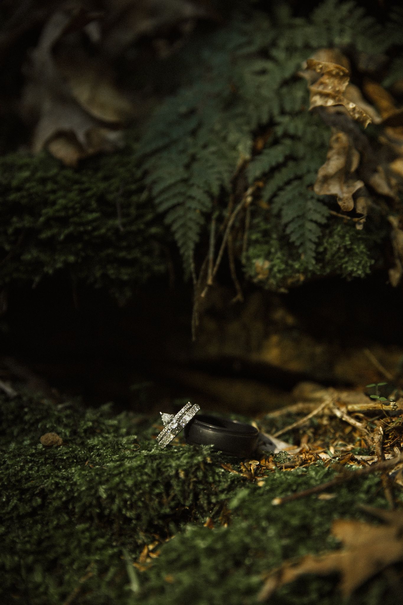 Wedding rings resting on moss-covered forest floor with ferns, dark moody nature photography.