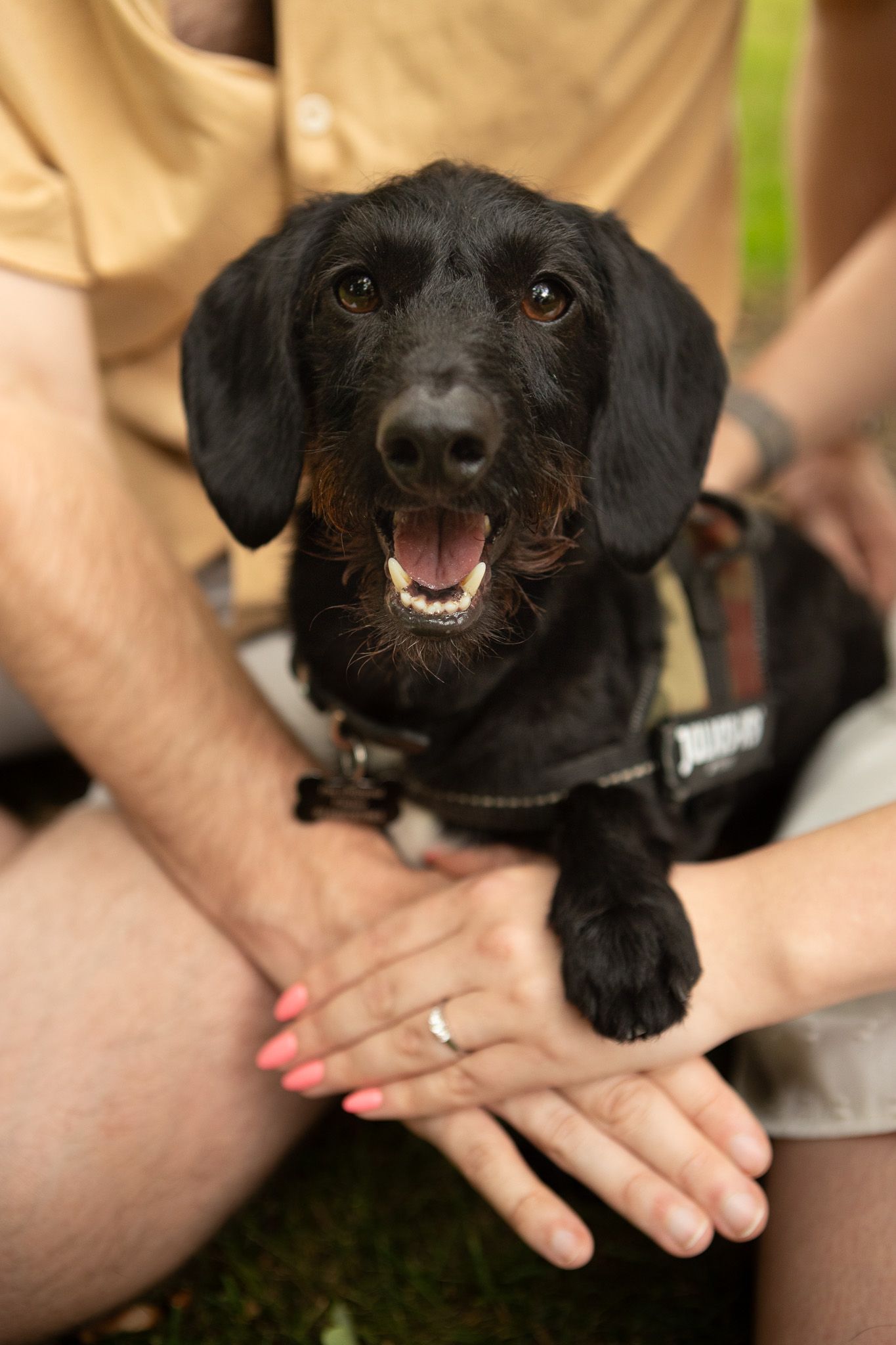 Dog and owner sharing affectionate moment during outdoor photoshoot in Huddersfield park