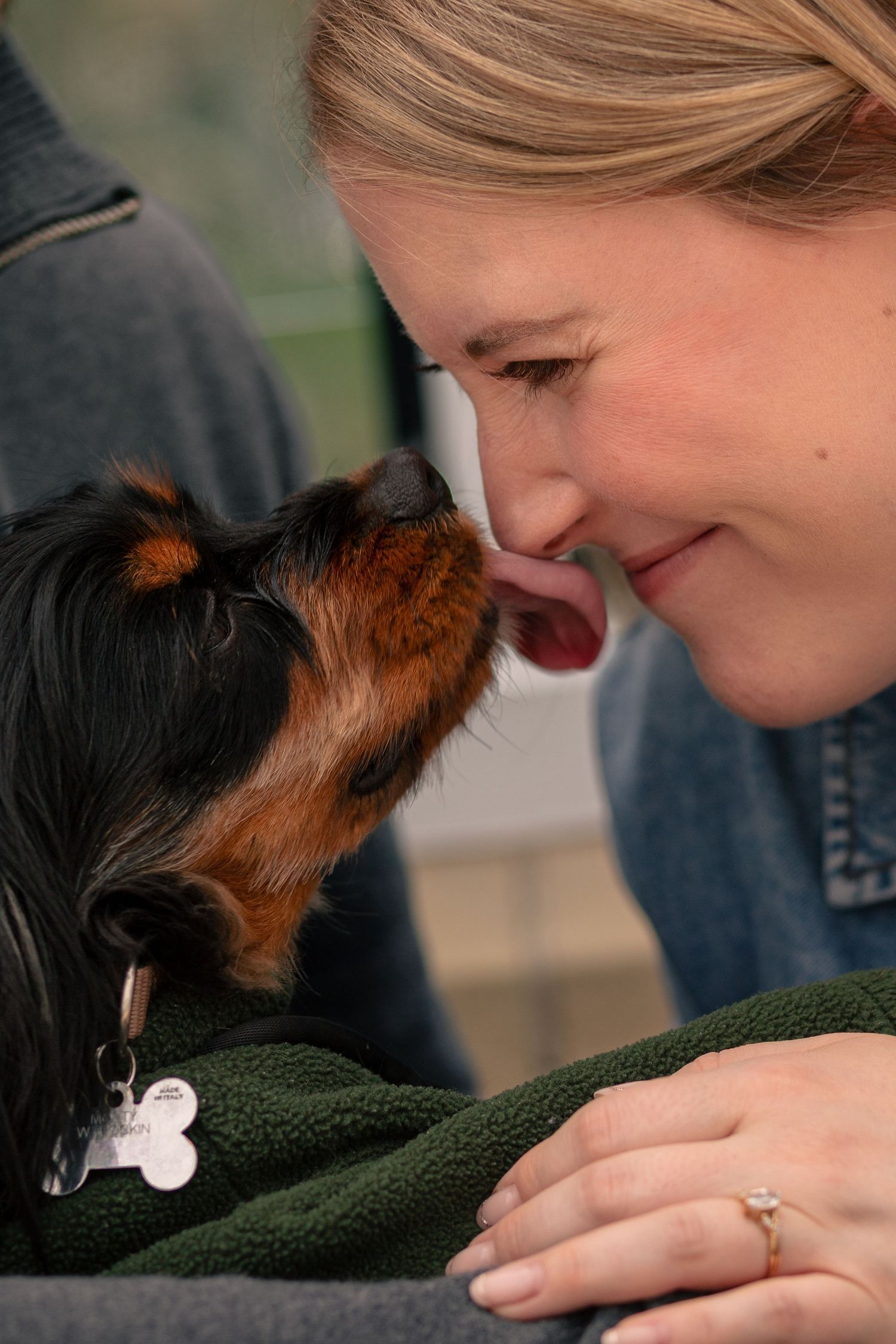 Close up portrait of dog face showing character during Huddersfield dog photography session