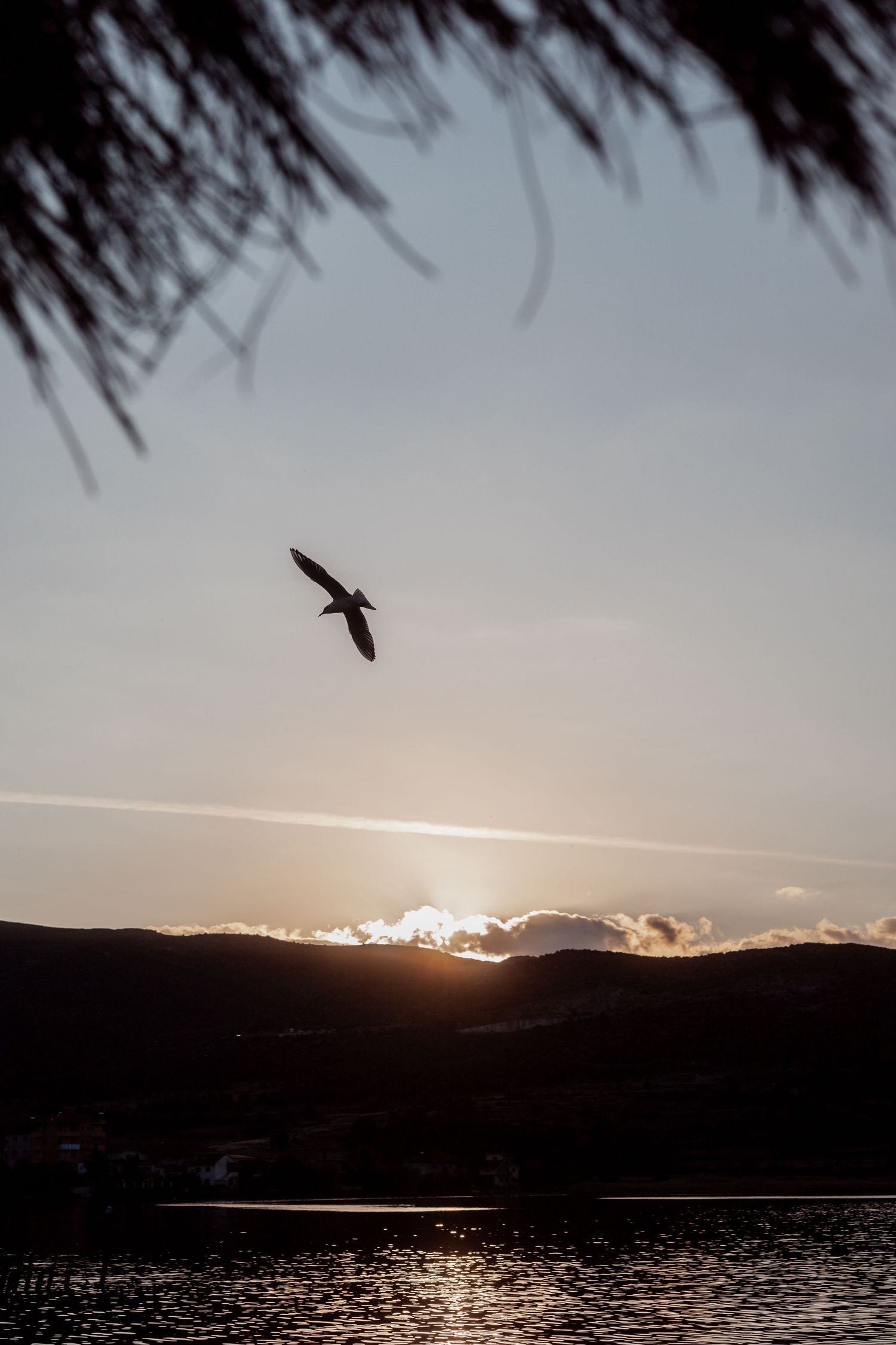 Silhouette of a bird soaring over a tranquil lake at sunset with mountains and glowing clouds in the background.