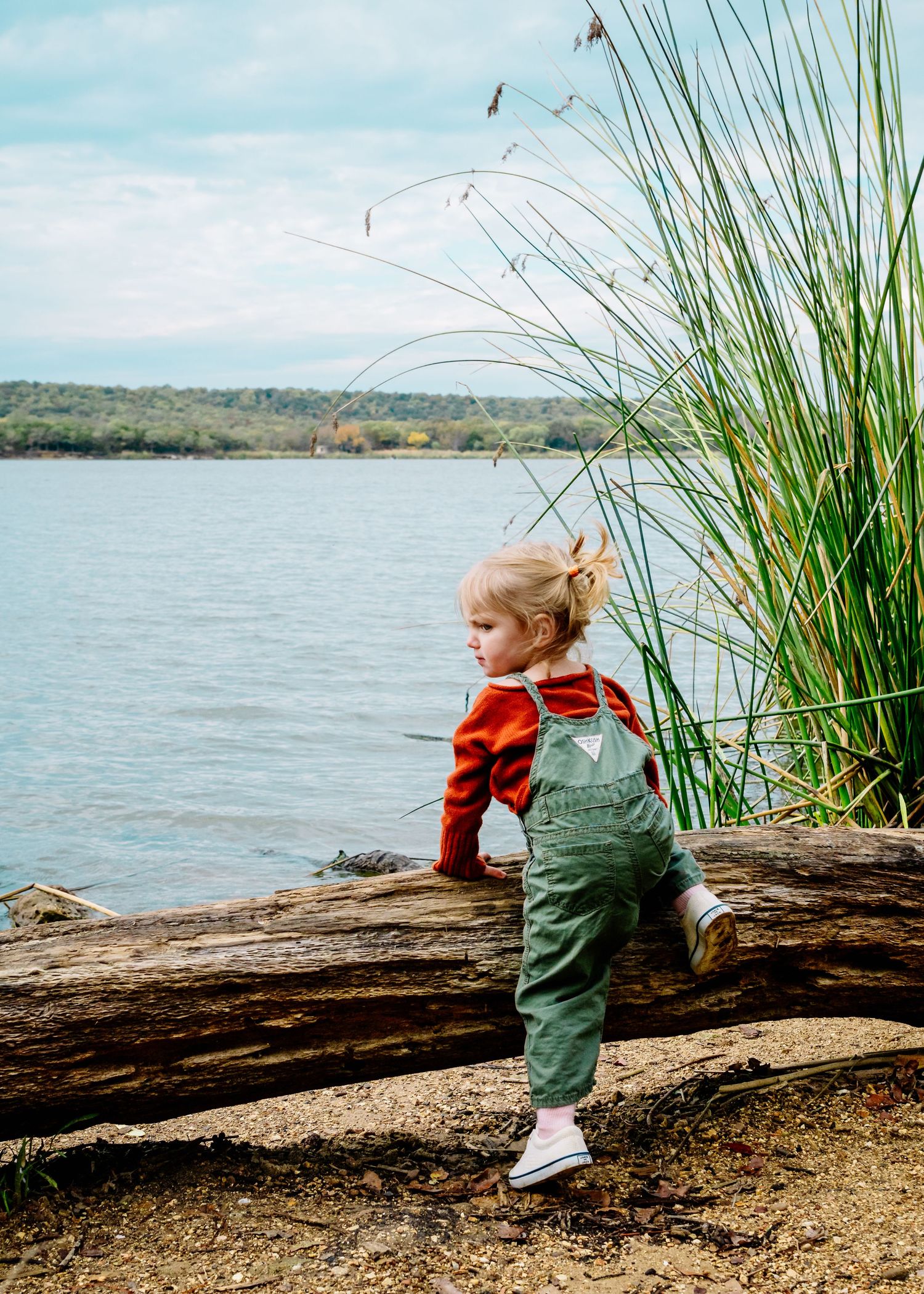 Child in green clothing exploring by a lake shore with tall grass and driftwood.