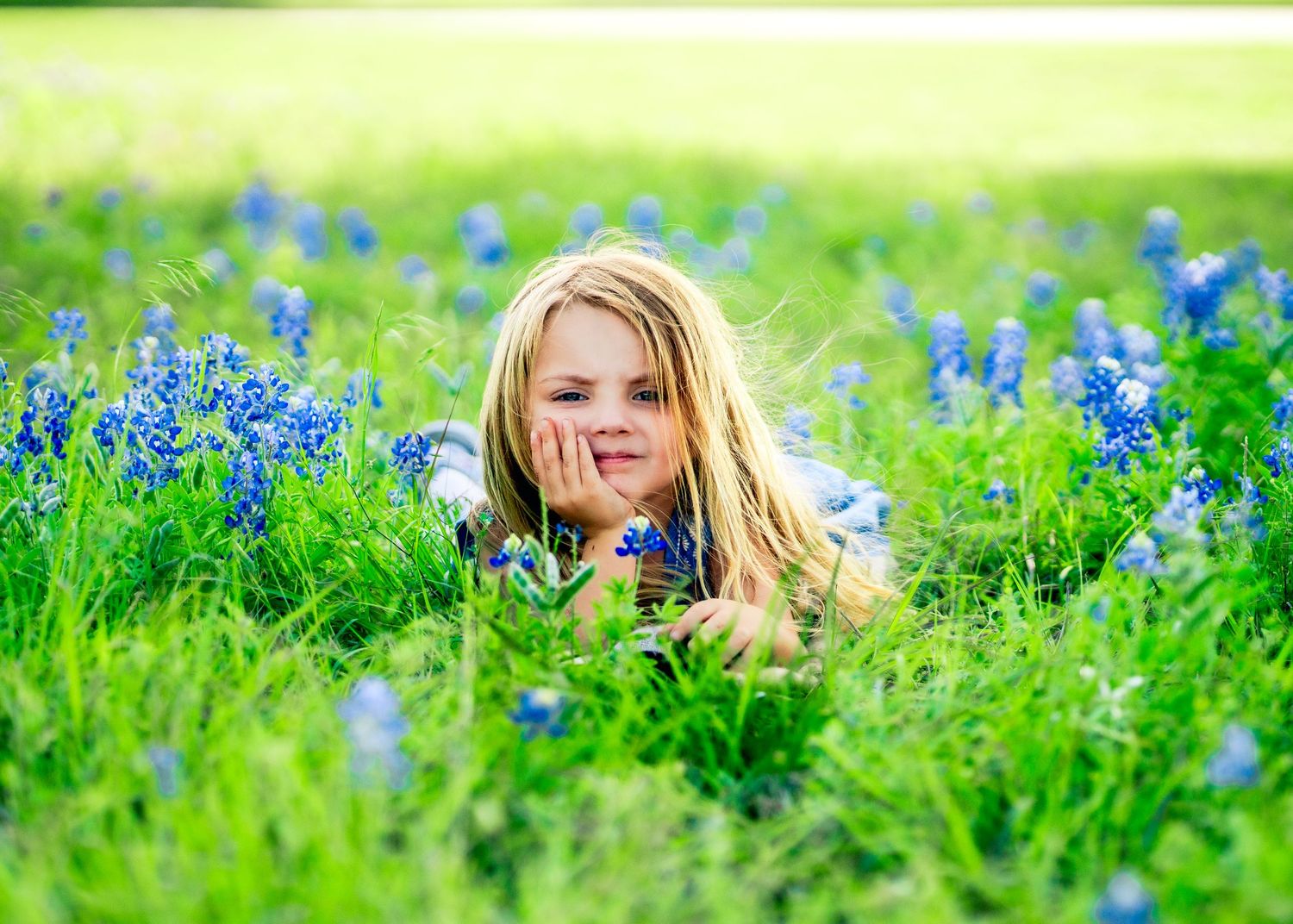 Field of bright blue wildflowers with lush green grass in springtime.