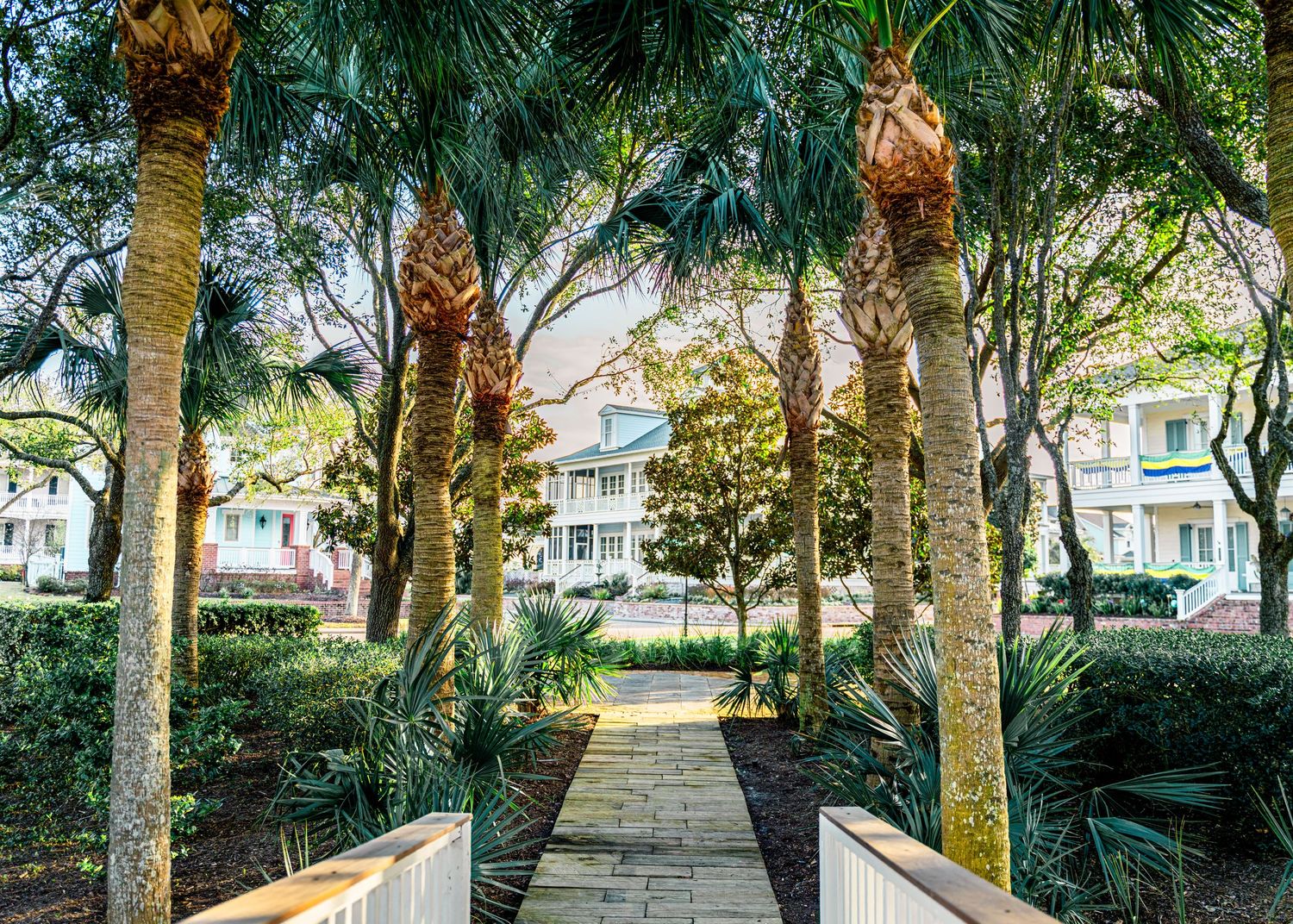 Palm tree-lined wooden boardwalk leads to colorful coastal houses.
