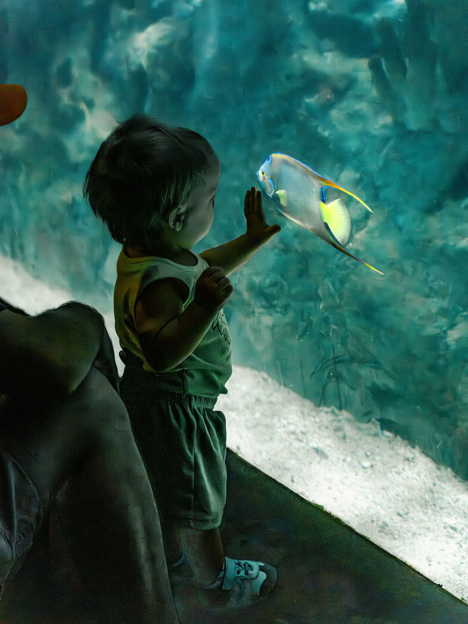 Silhouettes observe fish swimming in an aquarium's blue-green waters.