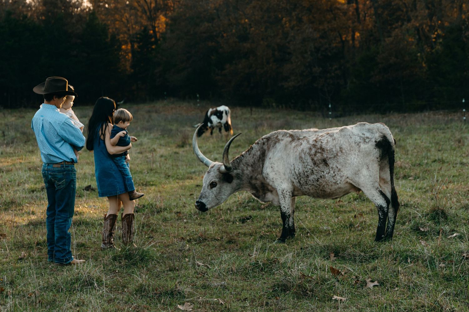 A couple stands in a field at sunset with a spotted cow grazing nearby.
