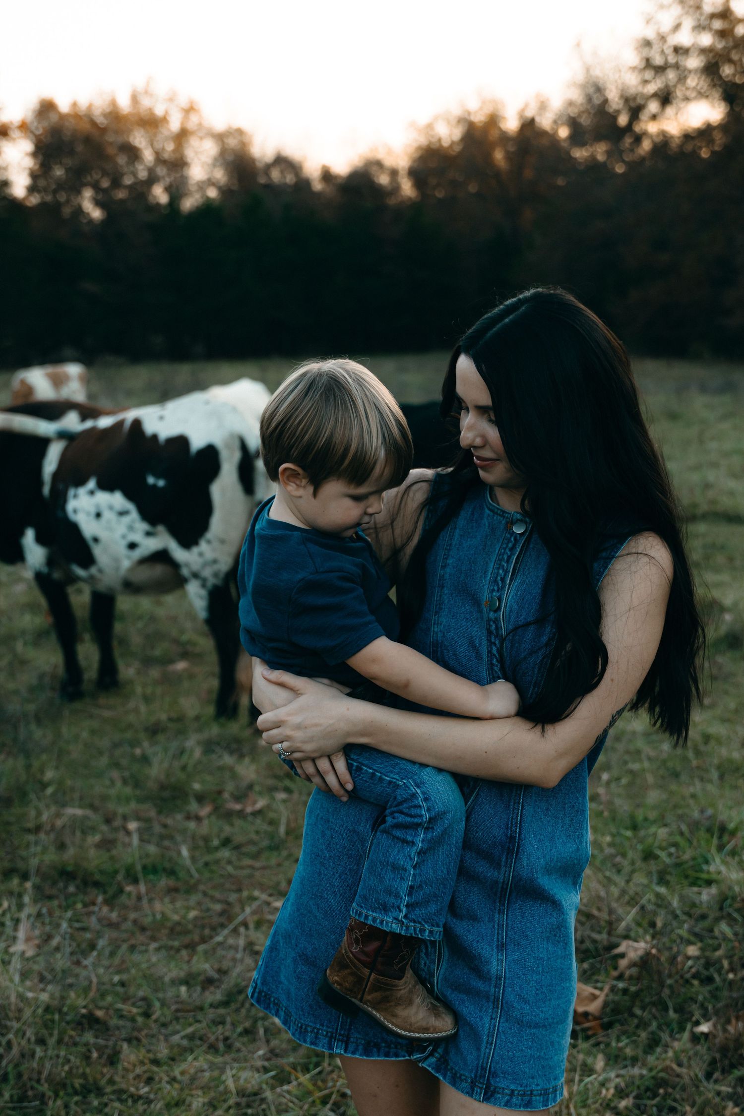 A tender moment between parent and child in a field with cows grazing in the background.