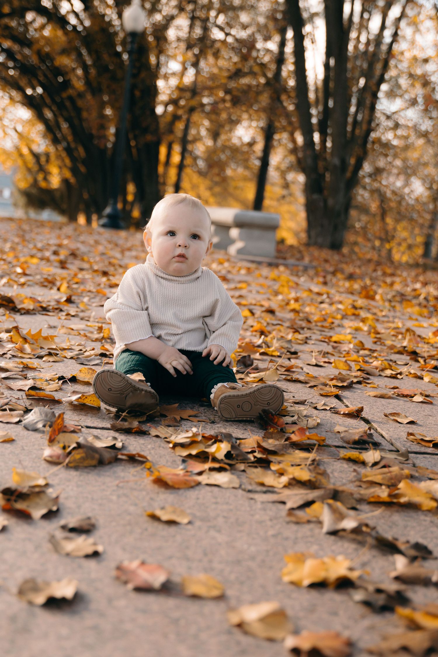 A baby sits among scattered autumn leaves on a path.