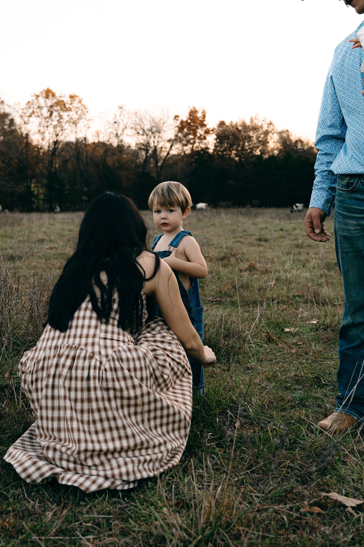 A family moment captured in a rustic field setting during golden hour.