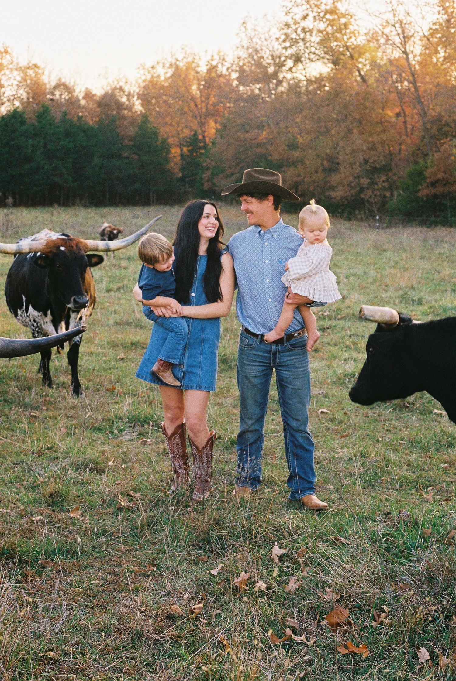 A family poses together in a field with cattle during golden hour, wearing casual western attire.
