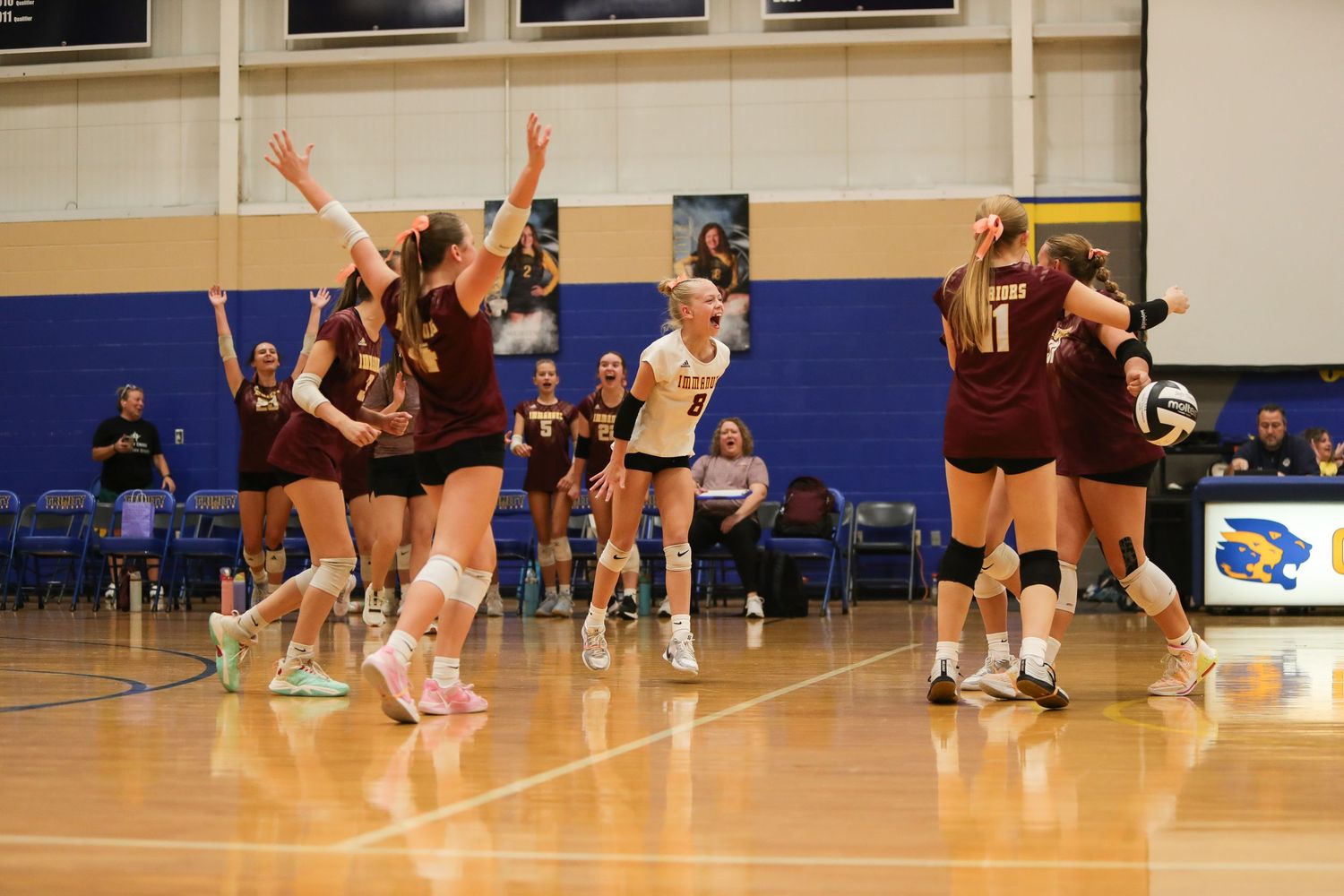 Indoor volleyball players celebrate after a point